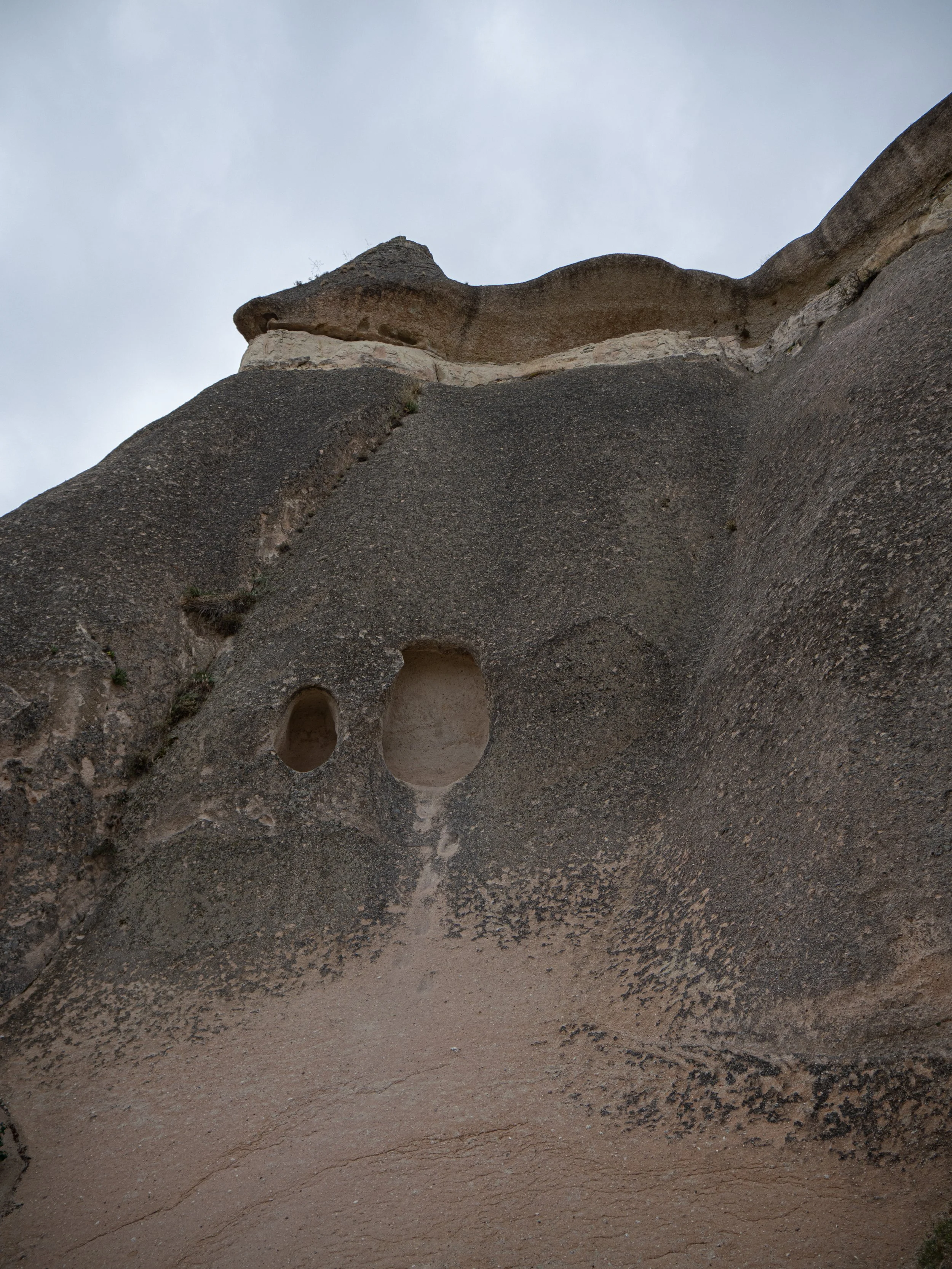 P1083894.jpg
