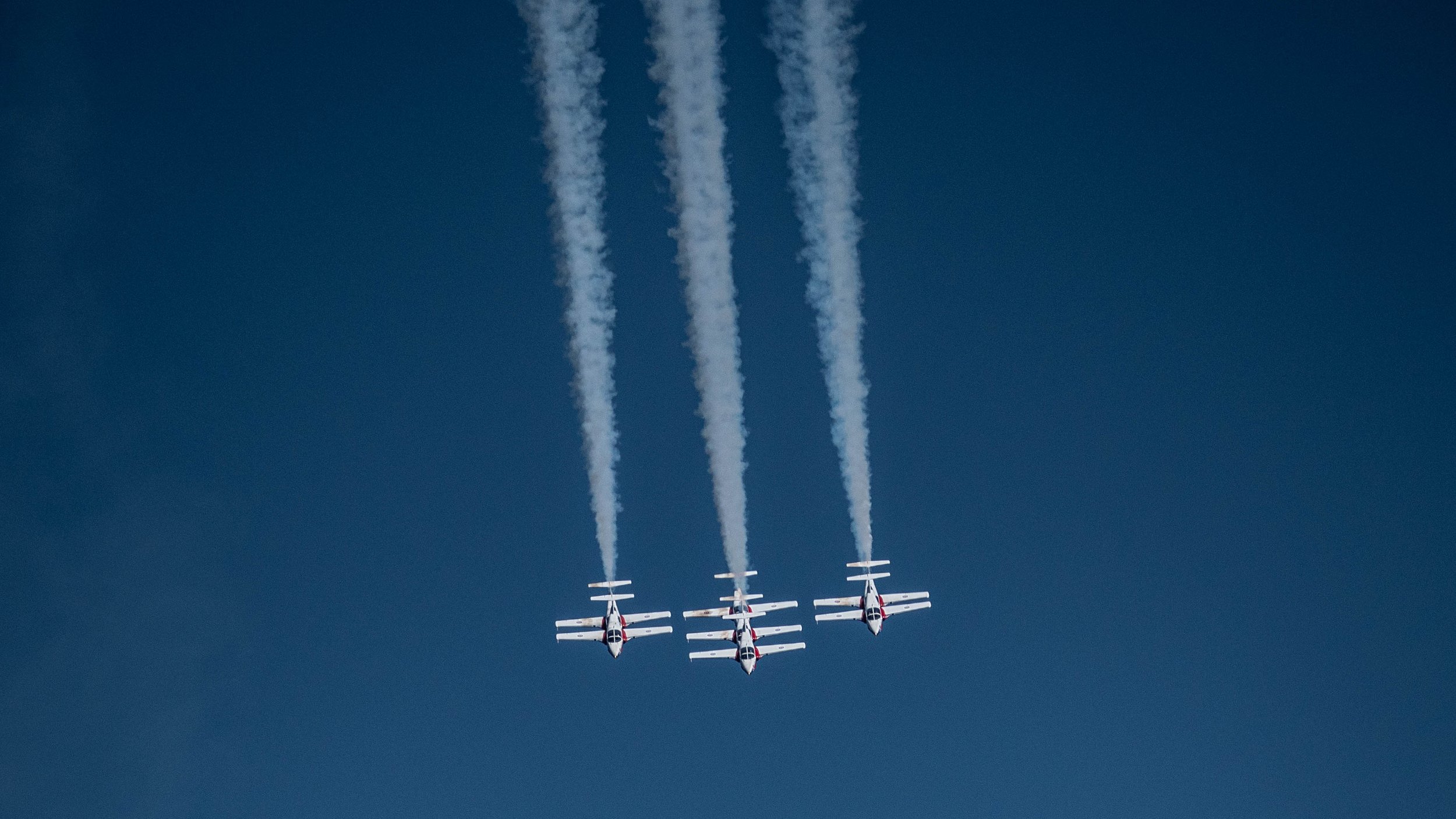 Canadian Snowbirds - descent