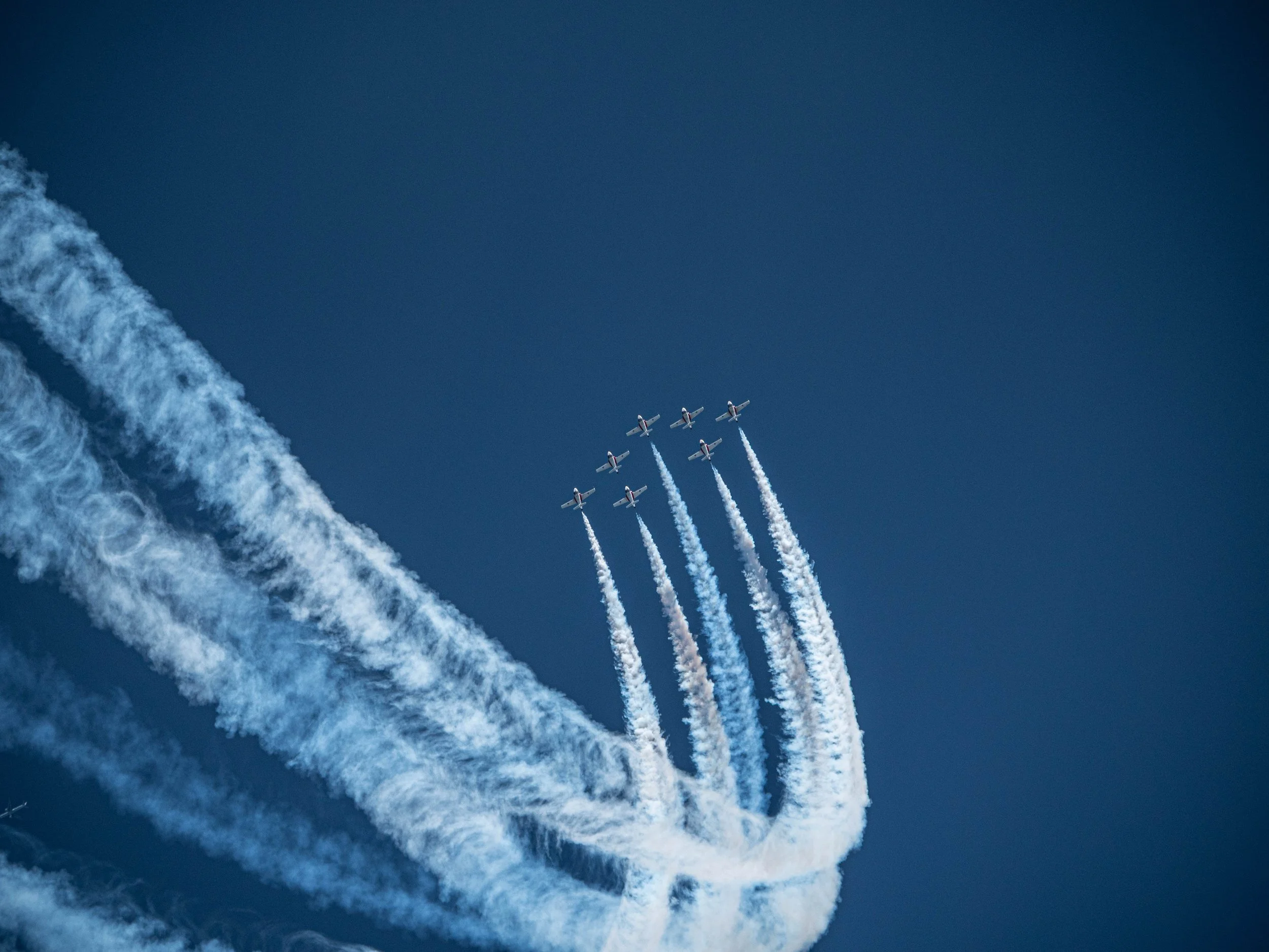 Canadian Snowbirds