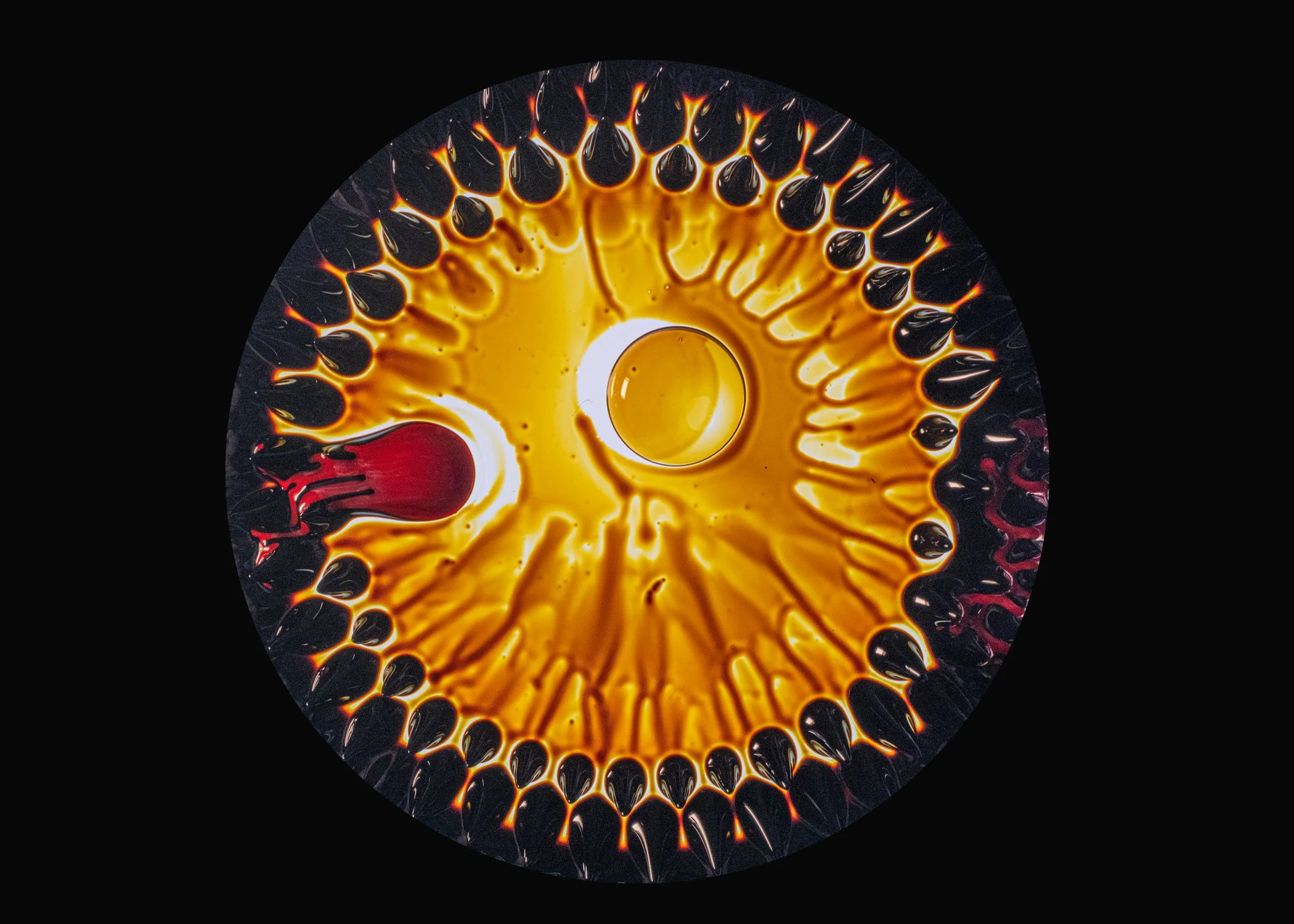 Ferrofluid- reproduction