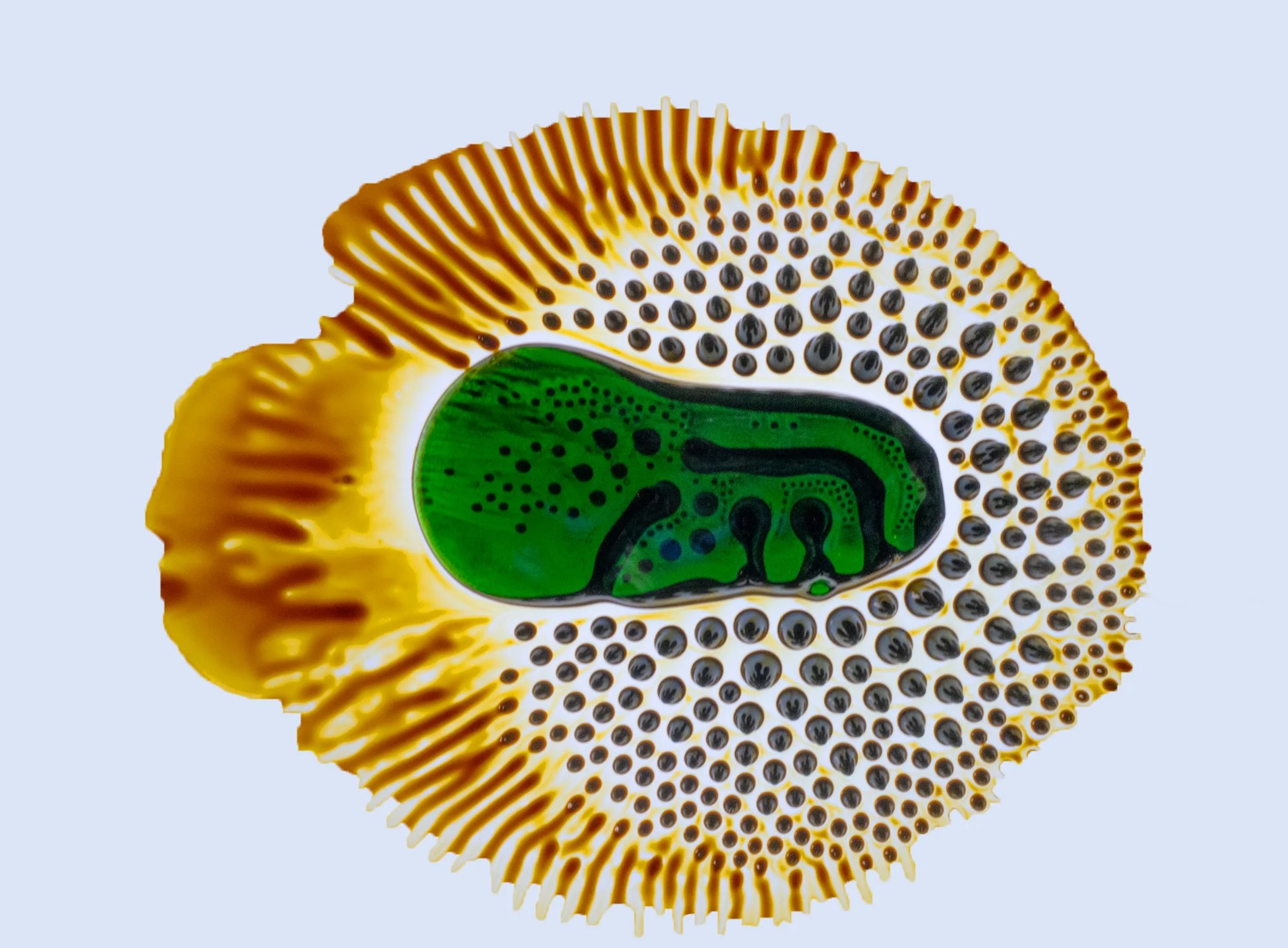 Ferrofluid - nudibranch