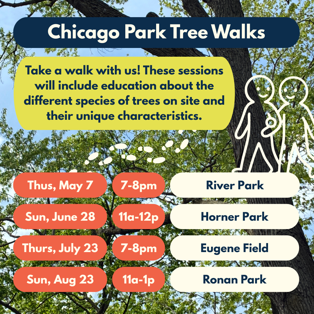 Horner Park Tree Walk