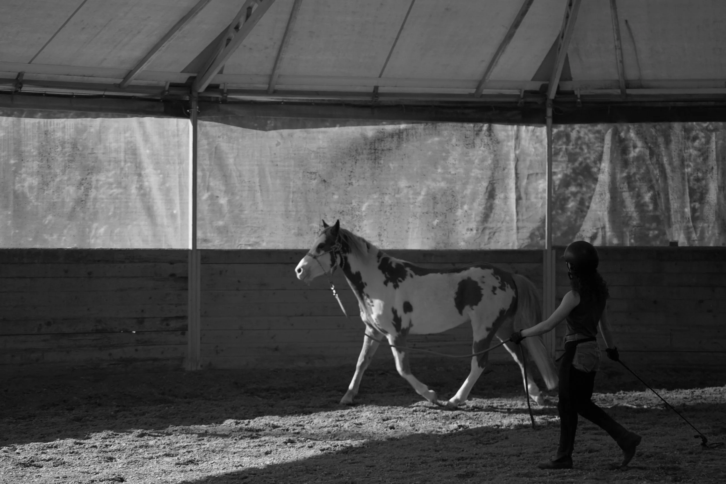 black and white one.JPG