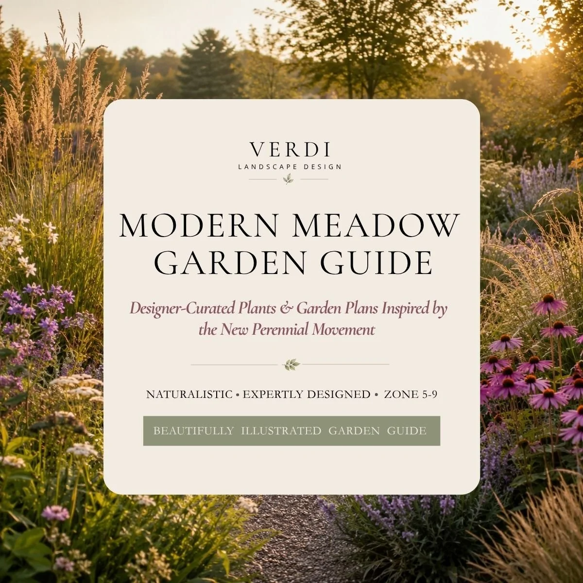 Modern Meadow Garden Guide