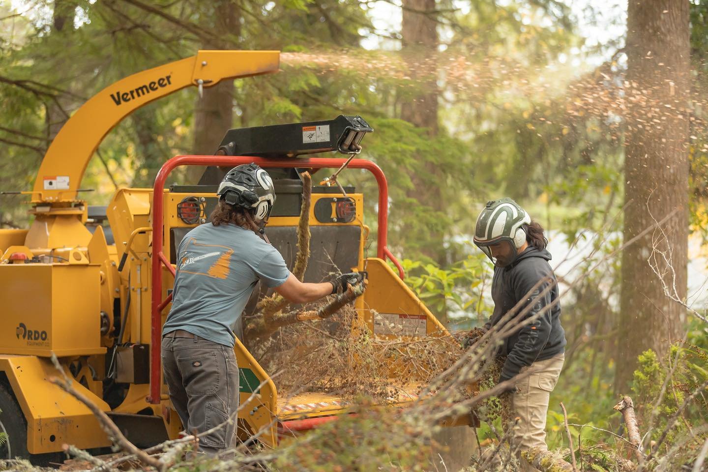 As a full service treecare operation, not only do we fall and haul, but we offer onsite chipping as well - Just one more reason why we get the job done right. 
Photo: @fullfroth 
#trees #arborist #treecareindustry #coastal #oregon #oregoncoast #small