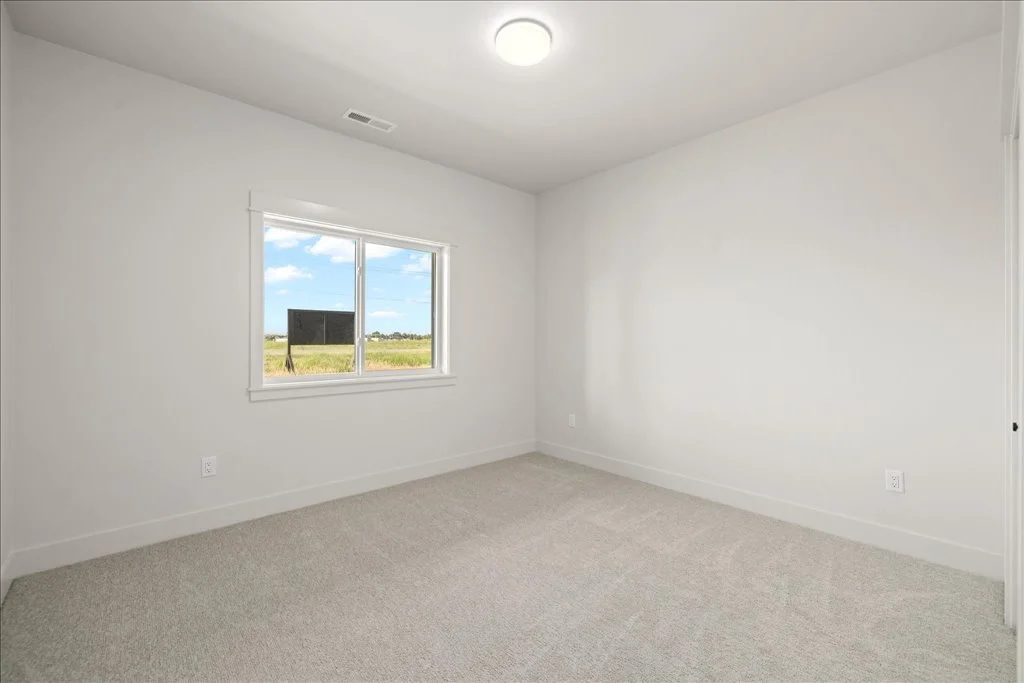 Empty room with white walls, beige carpet, a window showing a blue sky and open field outside, and ceiling light.