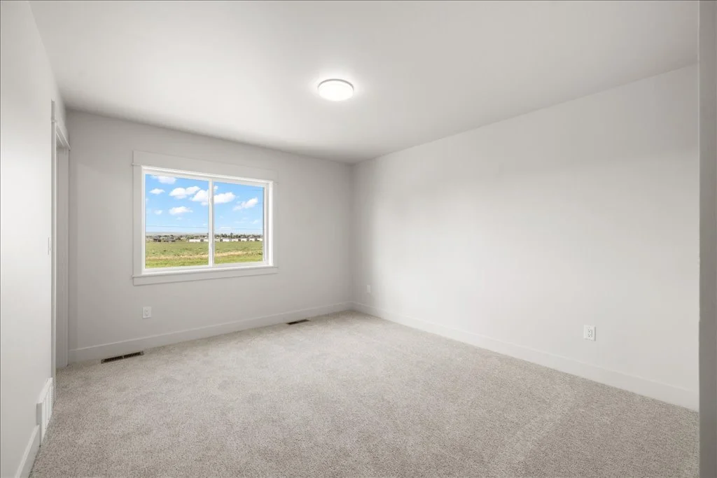 Empty room with white walls, beige carpet, a window showing a green field and blue sky, and a ceiling light