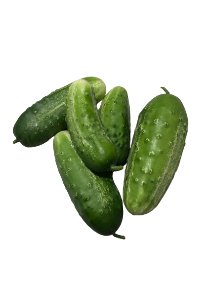 Cucumbers