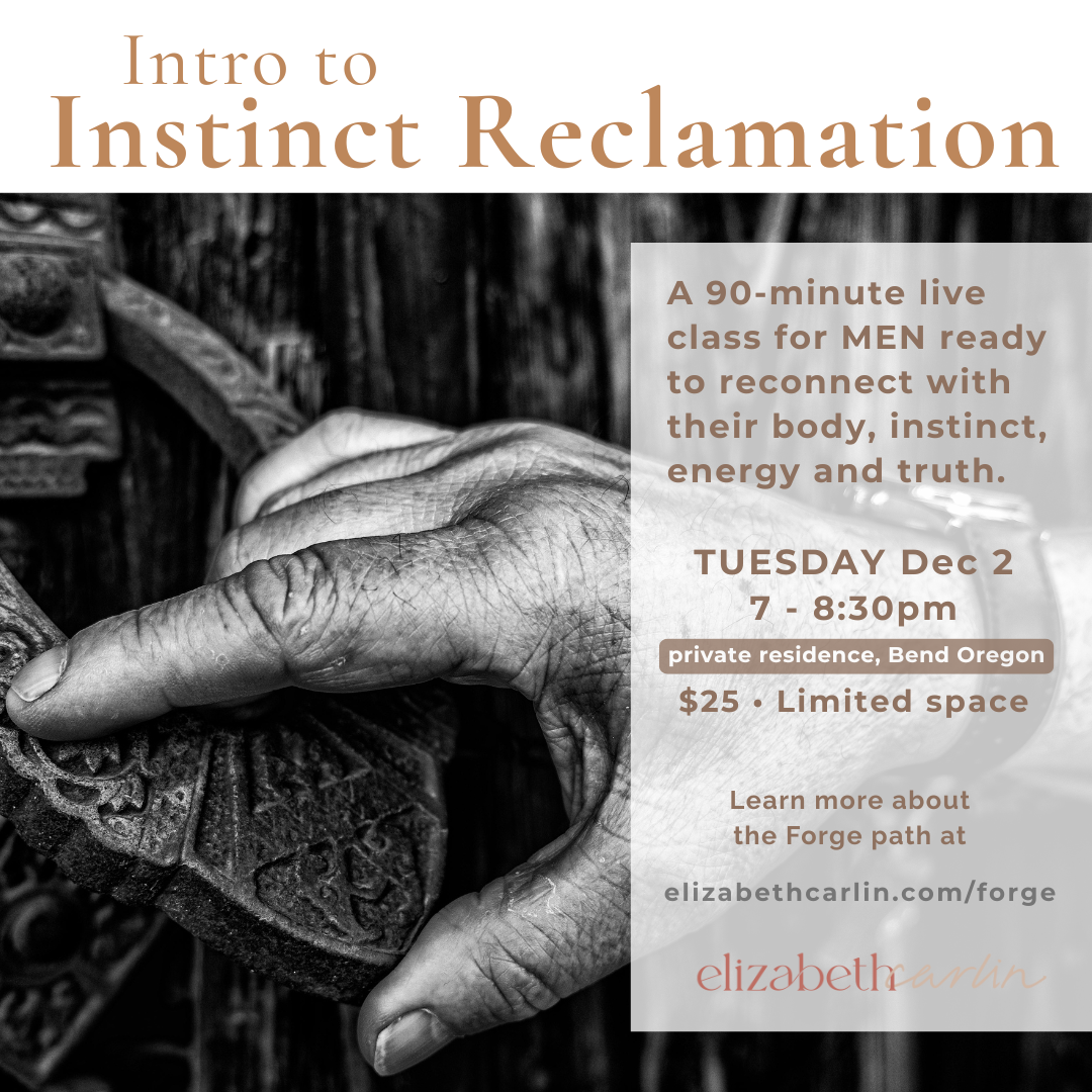 Intro to Instinct Reclamation