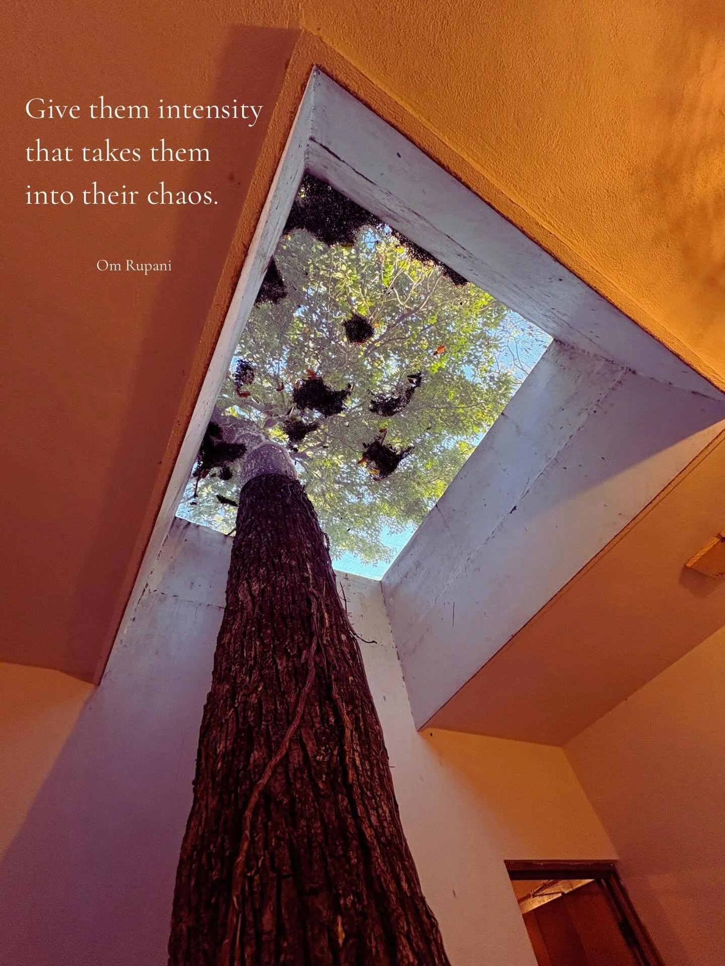 A portal of learning. 
So many moments and language pieces to savor.

@omrupani1 🙏