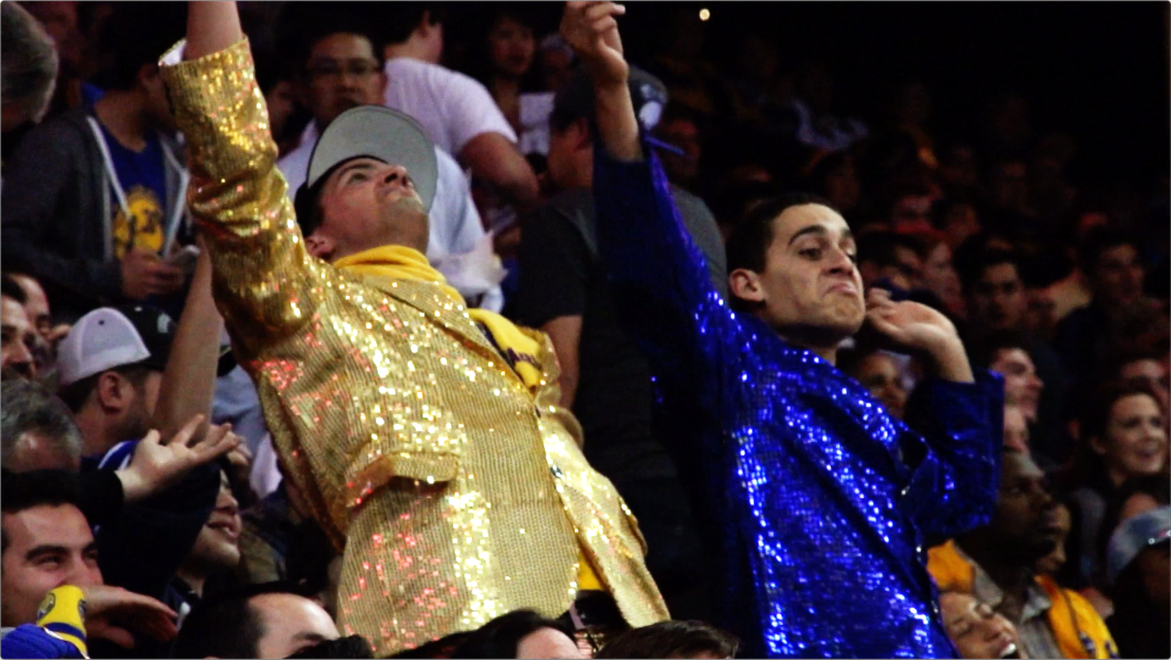 Warriors: Authentic Fan