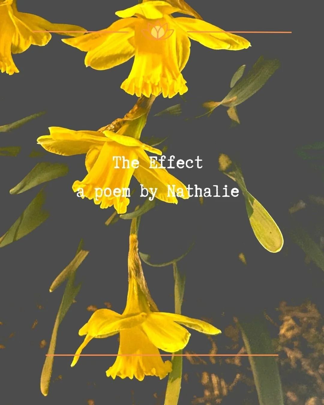 The Effect