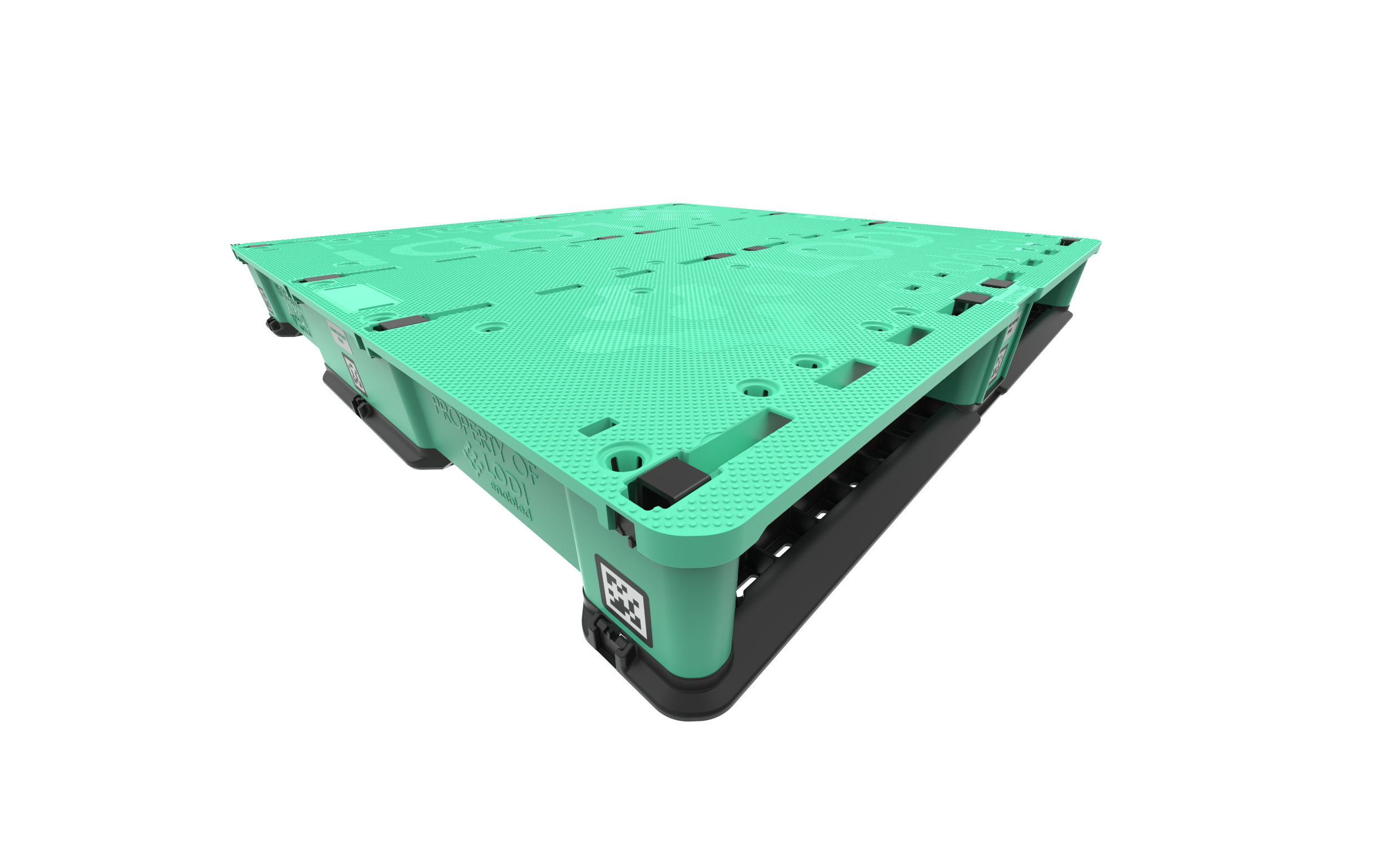 GP Pallet - Fish Eye