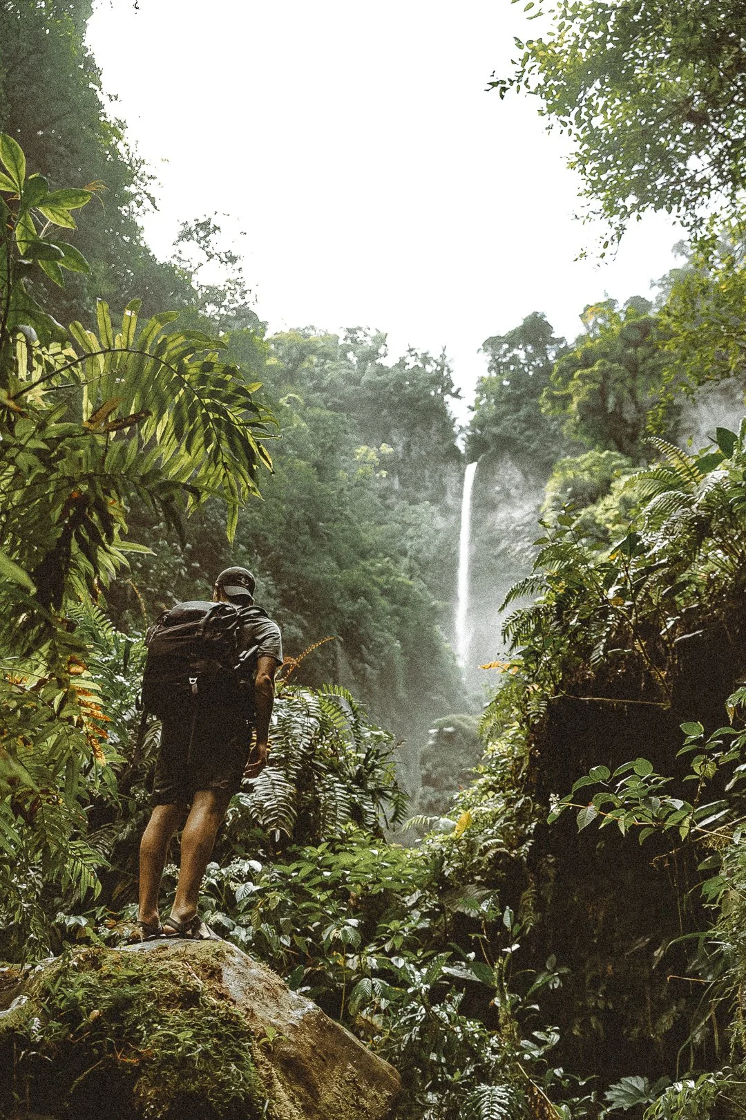 Jungle Call