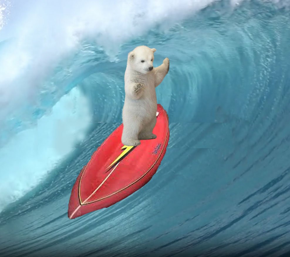 Bearylopez_$CHILN.jpeg