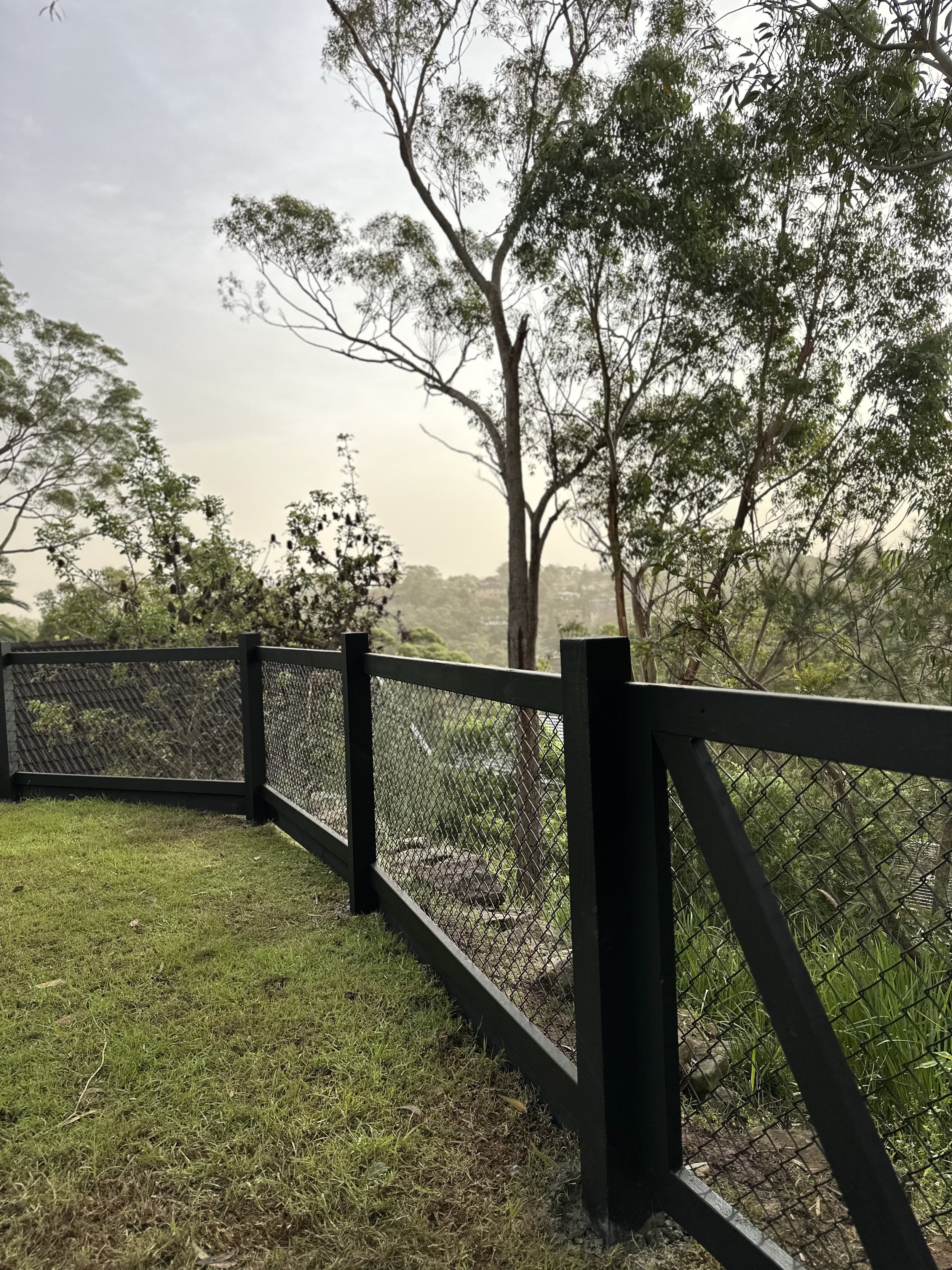 IMG_6283.jpeg