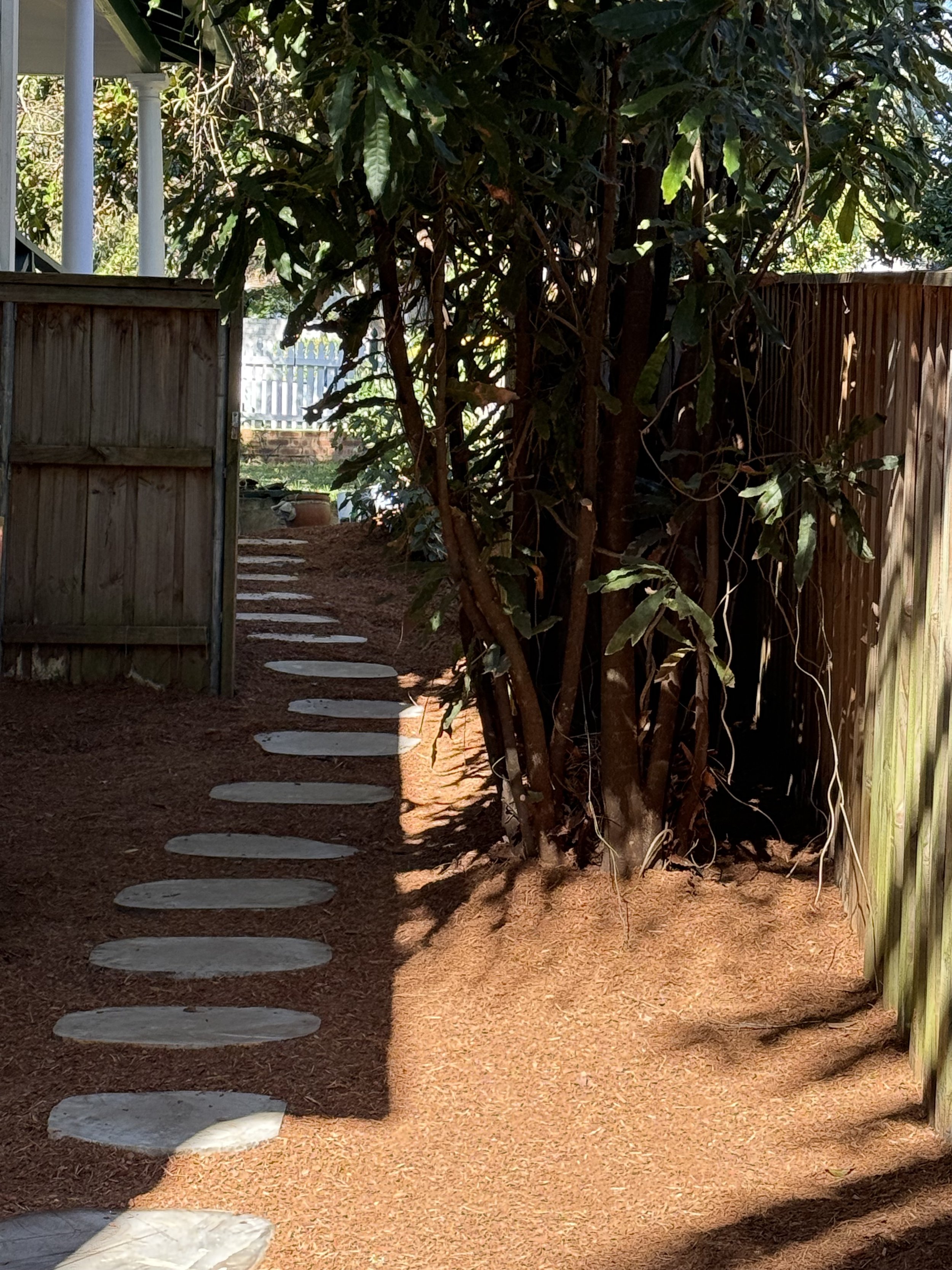 A garden pathway with round stepping stones leading past a large tree, enclosed by wooden fences on both sides, with sunlight illuminating the ground.