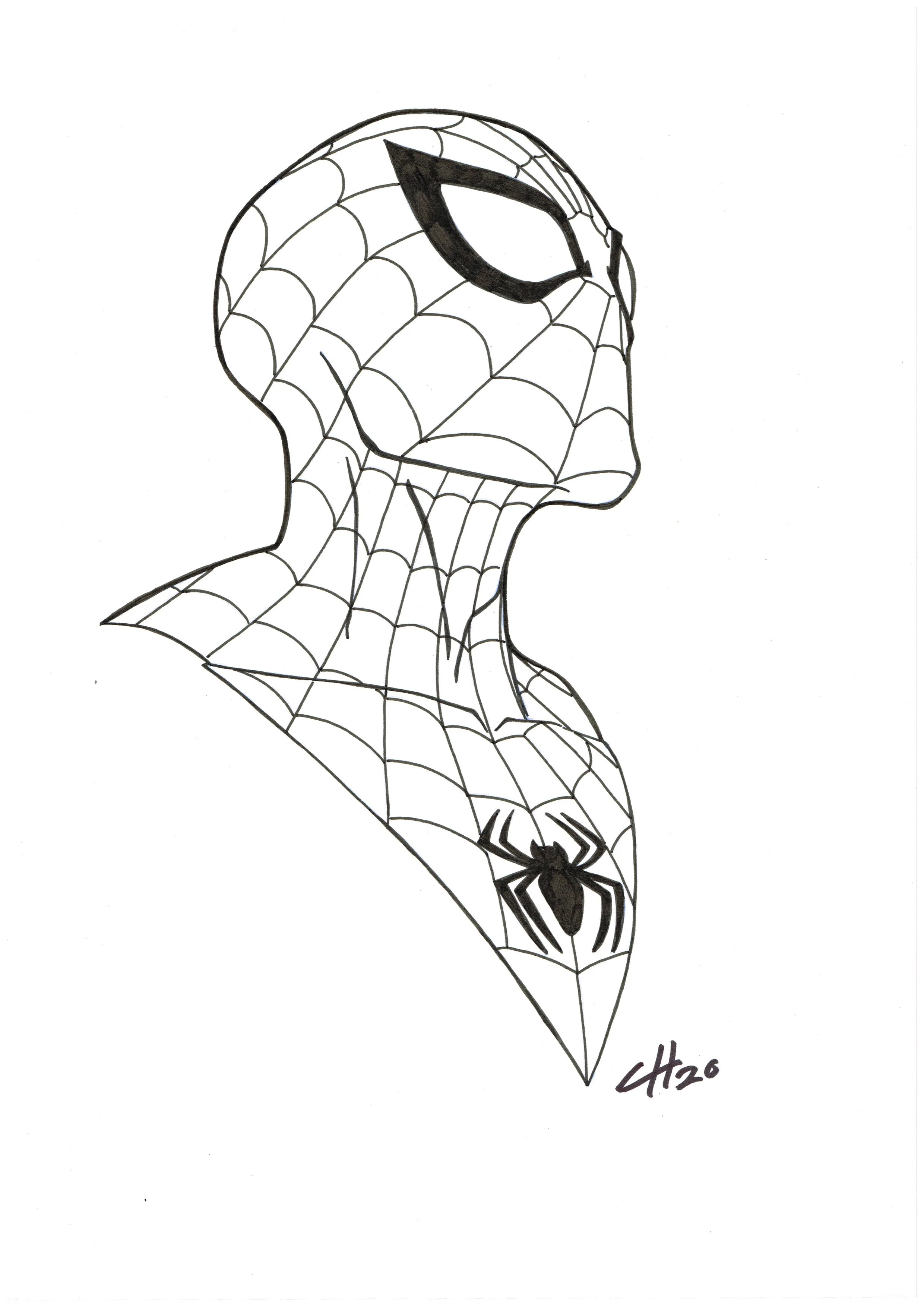 Spider-man Headshot raw inks.jpg