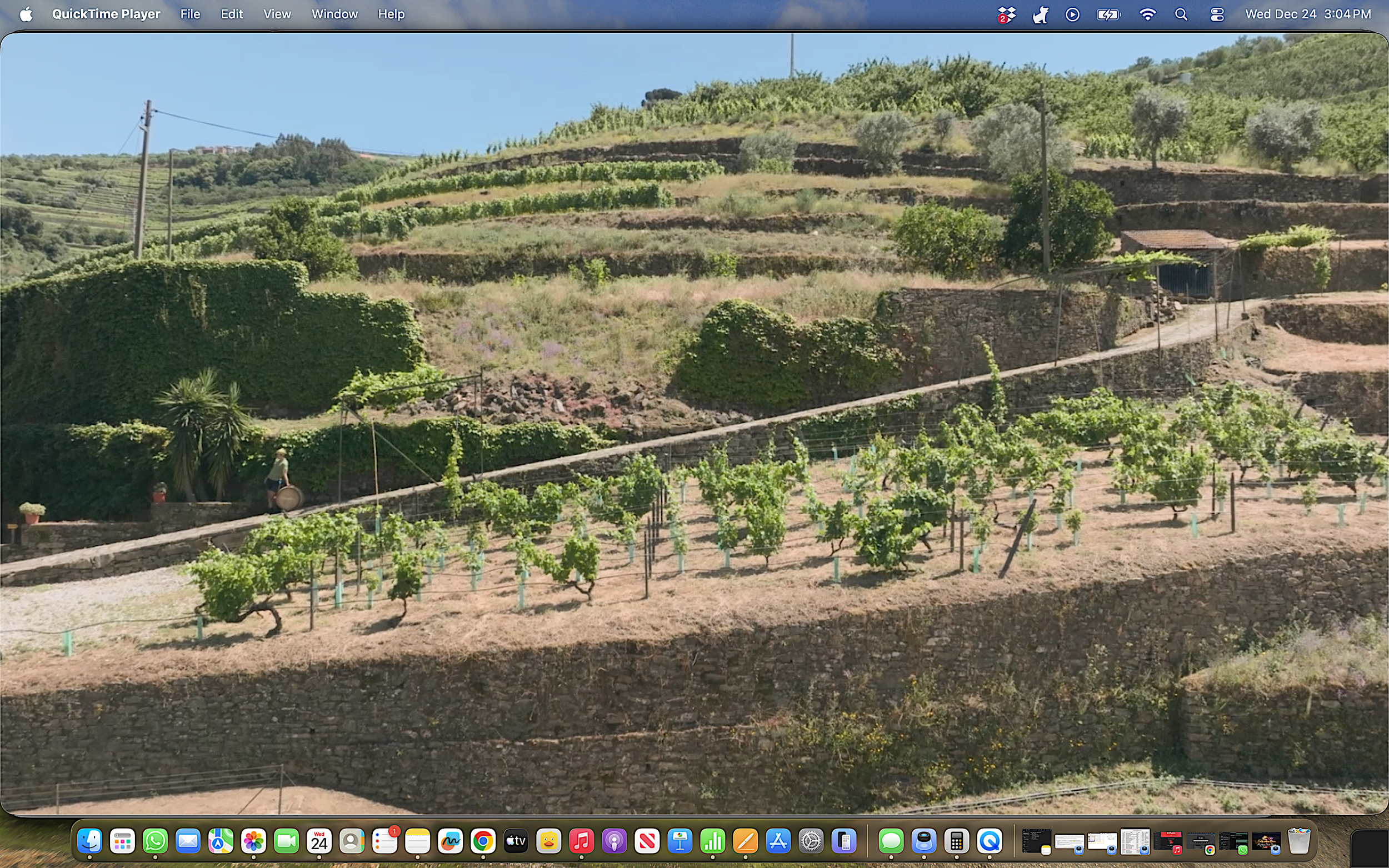 Screenshot 2025-12-24 at 3.04.31 PM.png