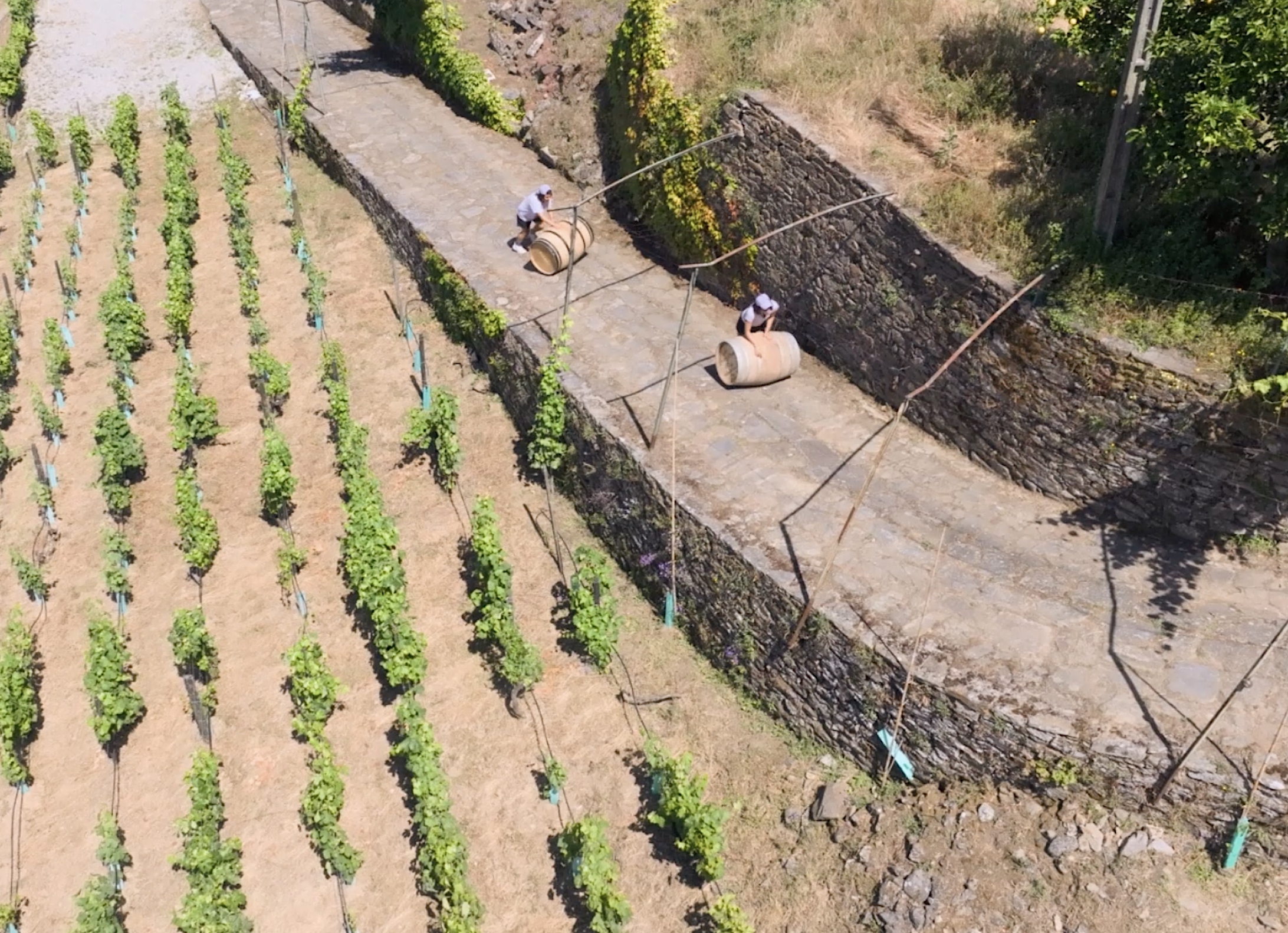 Screenshot 2025-12-24 at 3.11.07 PM.png