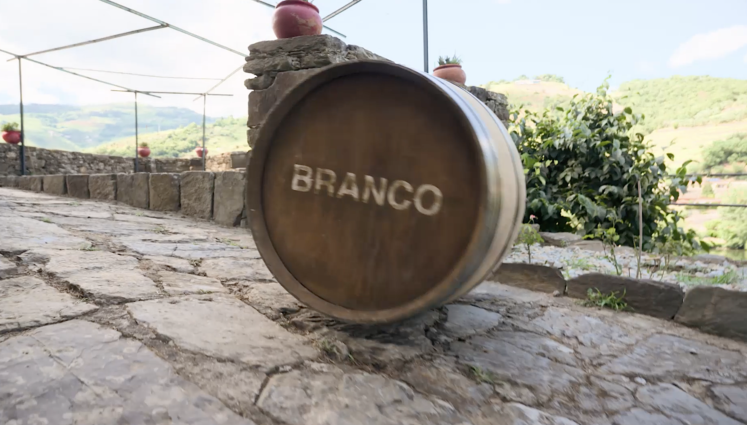 Screenshot 2025-12-24 at 3.16.15 PM.png