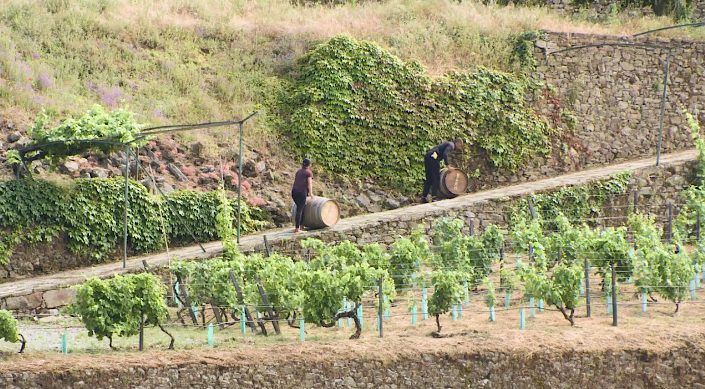 Screenshot 2025-12-24 at 3.17.16 PM.png