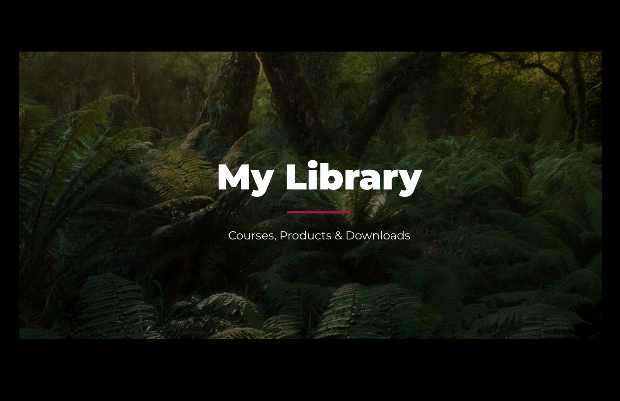 Screenshot 2024-07-21 at 11.25.24 PM.png