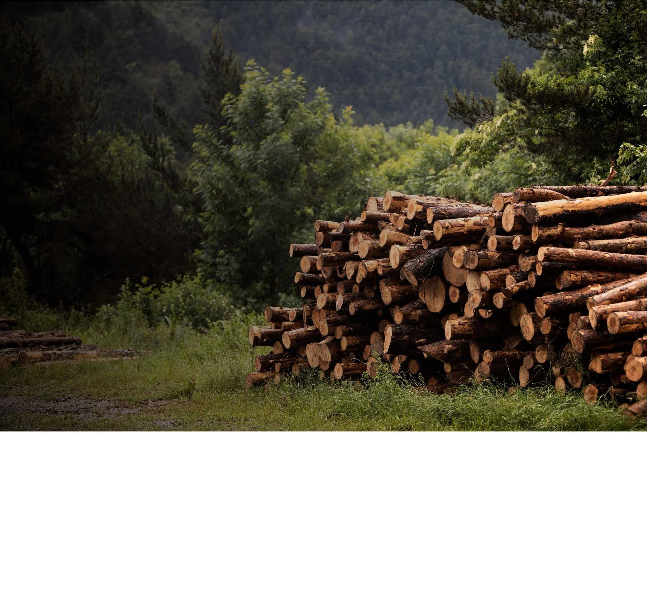 DeWALT-Log-Splitters-Index-Background-01.jpg