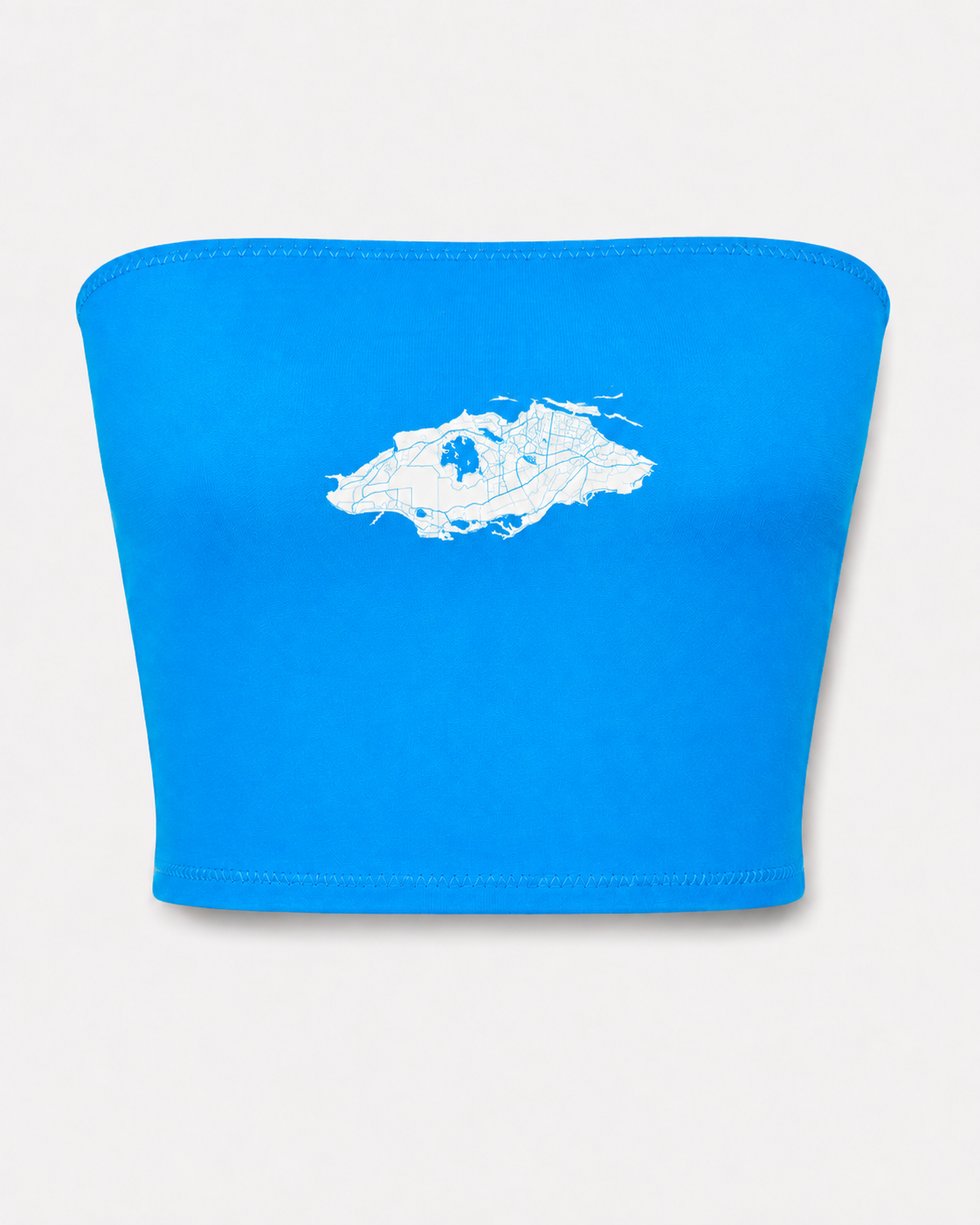 nass blue.png
