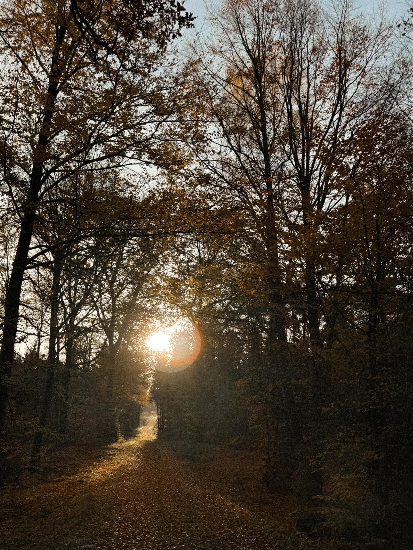 Vi speglar v&aring;rt egenv&auml;rde i v&aring;ra val!
N&auml;r inre trygghet &ouml;kar, f&ouml;r&auml;ndras &auml;ven vilka rum och relationer vi v&auml;ljer.
Inner Feng Shui &auml;r att bygga v&auml;rde inifr&aring;n och ut.

Ni som f&ouml;ljt mig 