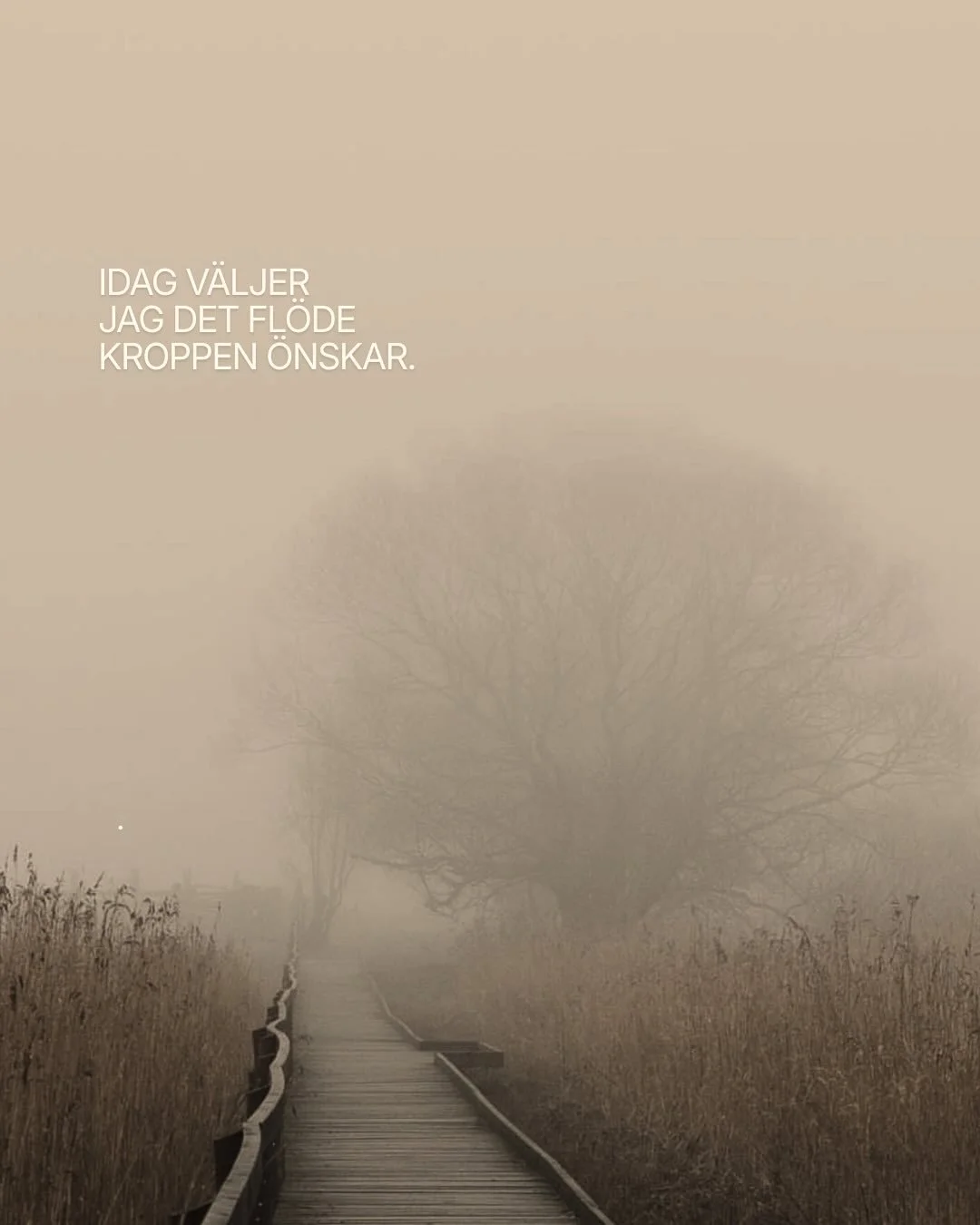 Idag v&auml;ljer jag extra mycket det fl&ouml;de kroppen &ouml;nskar, mjuka r&ouml;relser och sysslor, medveten andning, frisk luft, en fika med familjen&hellip; och s&aring; drar jag ett kort.

S&ouml;ndag har en s&auml;rskild energi.
Som en liten d