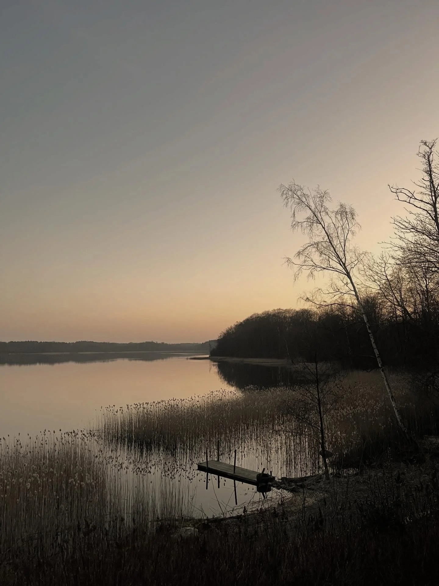 Det &auml;r sannerligen n&aring;got s&auml;rskilt med det f&ouml;rsta v&aring;rljuset.
Efter m&aring;nader av m&ouml;rker letar det sig pl&ouml;tsligt in &ouml;verallt -
genom grenarna i skogen, &ouml;ver vattnet, in genom de smutsiga f&ouml;nstren h