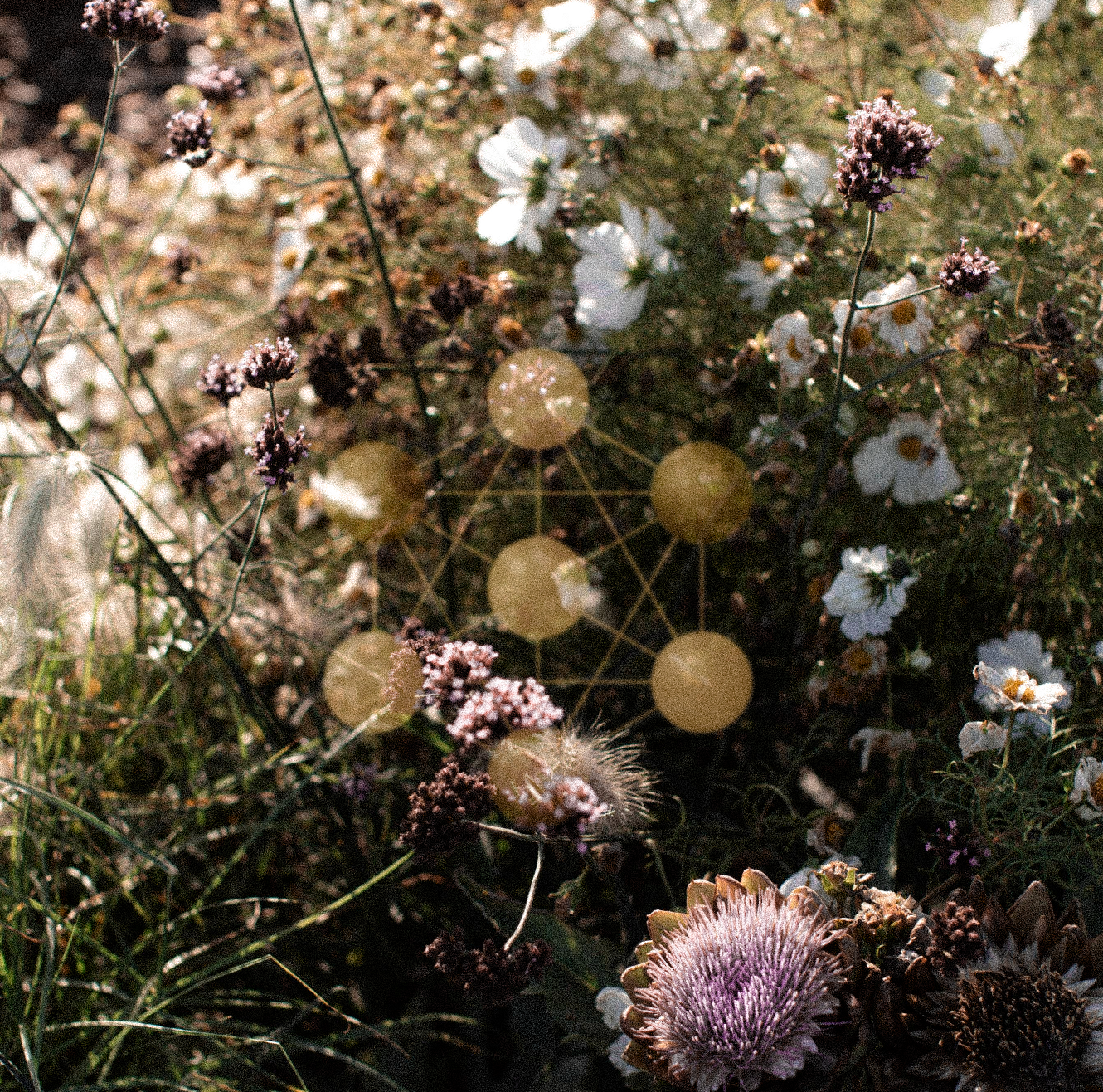 Lilla Gene Keys - läsningen