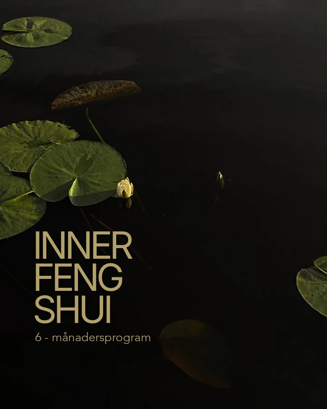 Inner Feng Shui - 6 månaders-programm