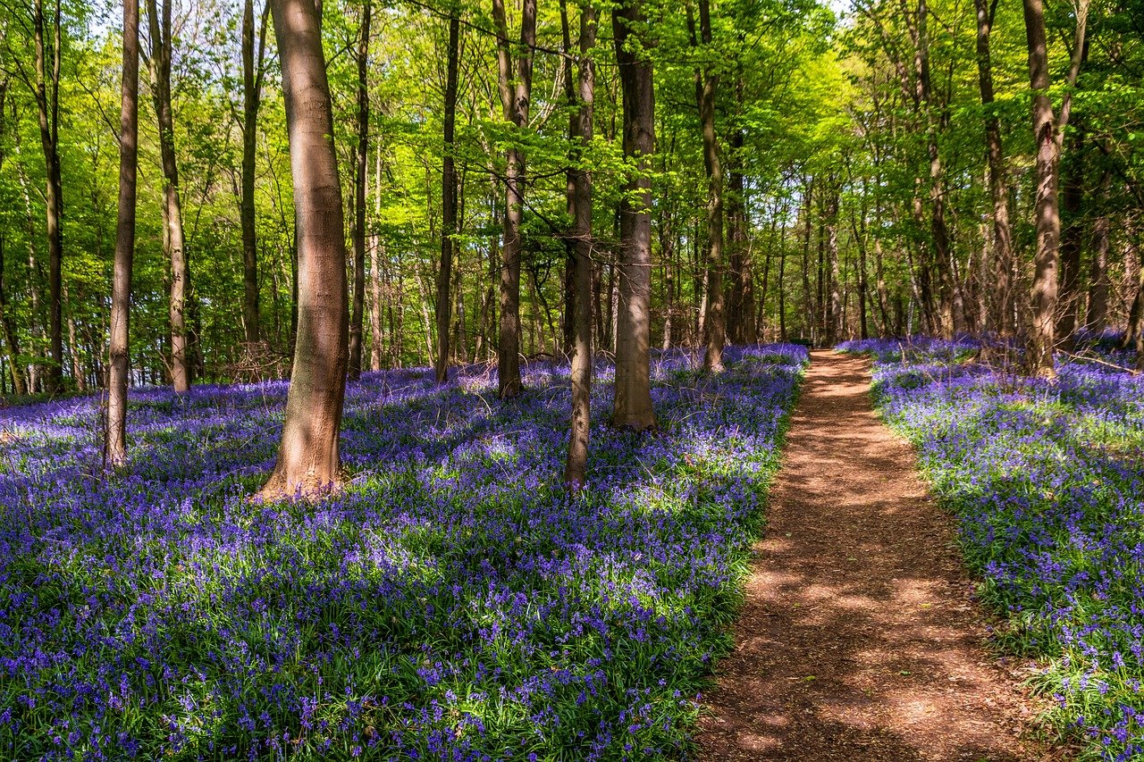 Who’s enjoying Springtime?