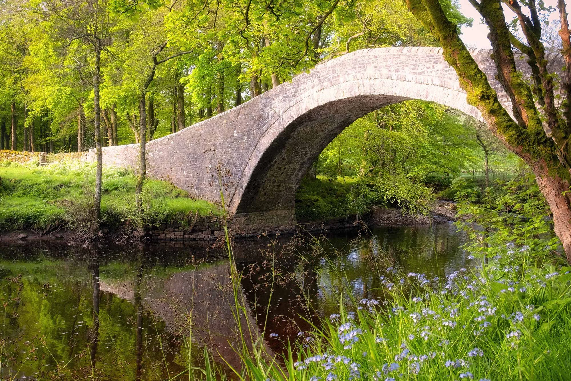 Ivelet Bridge Swaledale image