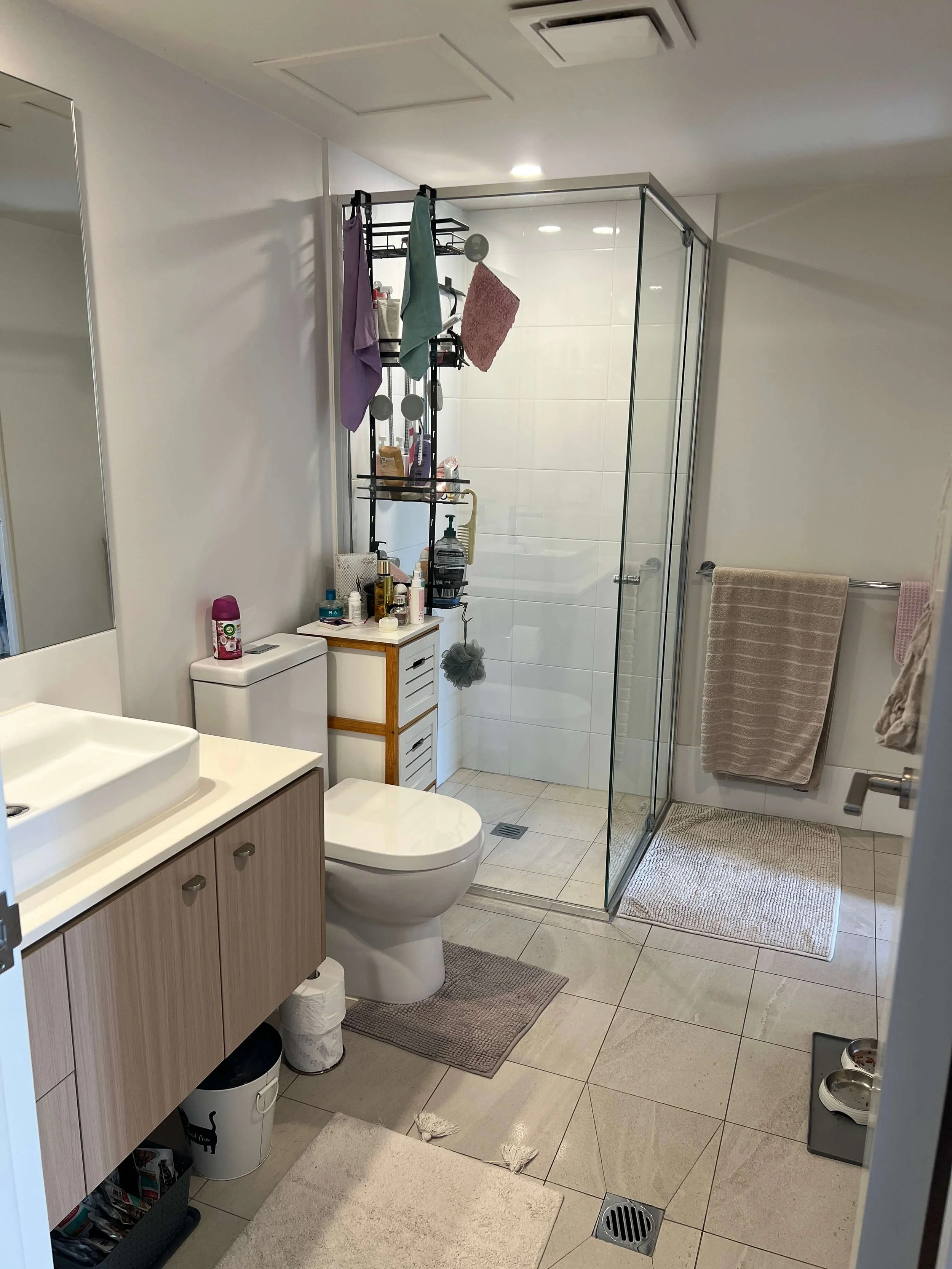     palmyra-apartment-styling-bathroom-before.JPG