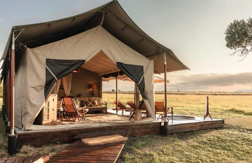 ELEPHANT PEPPER CAMP