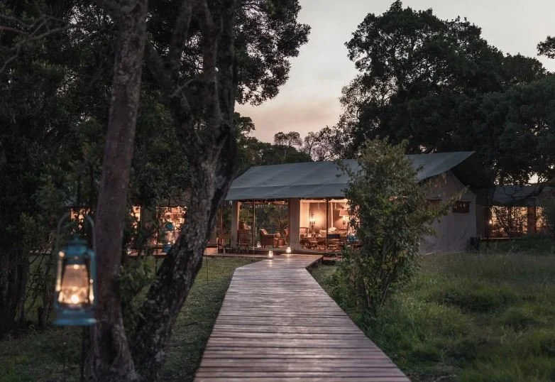 ELEPHANT PEPPER CAMP