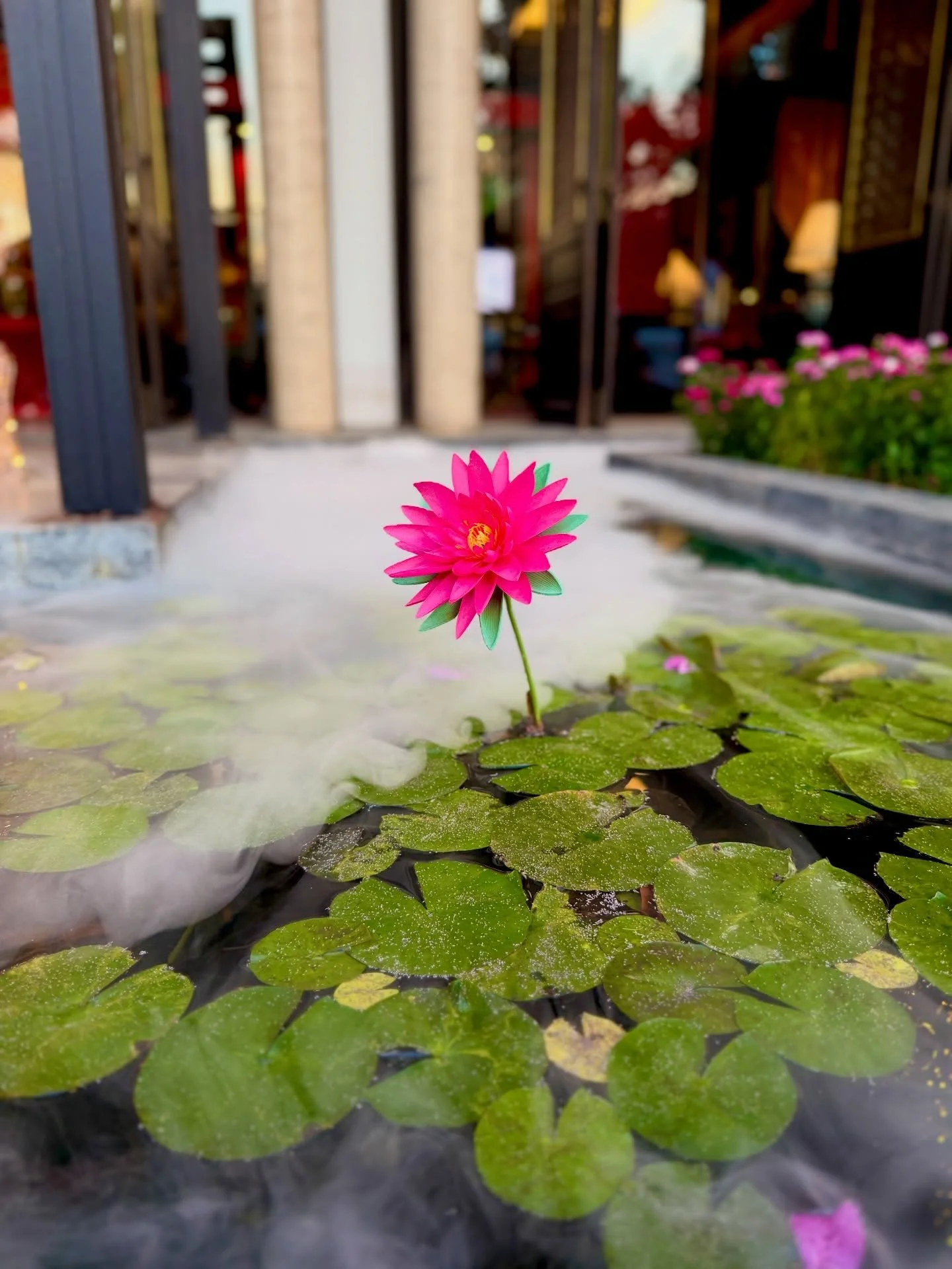 Chiang Mai seemed to have a temple on every street corner. This was the first one we happened to wander into, and it was a great intro. It was small, decorated, not crowded at all and we got to enjoy some chanting. Lisa could have stayed here all eve