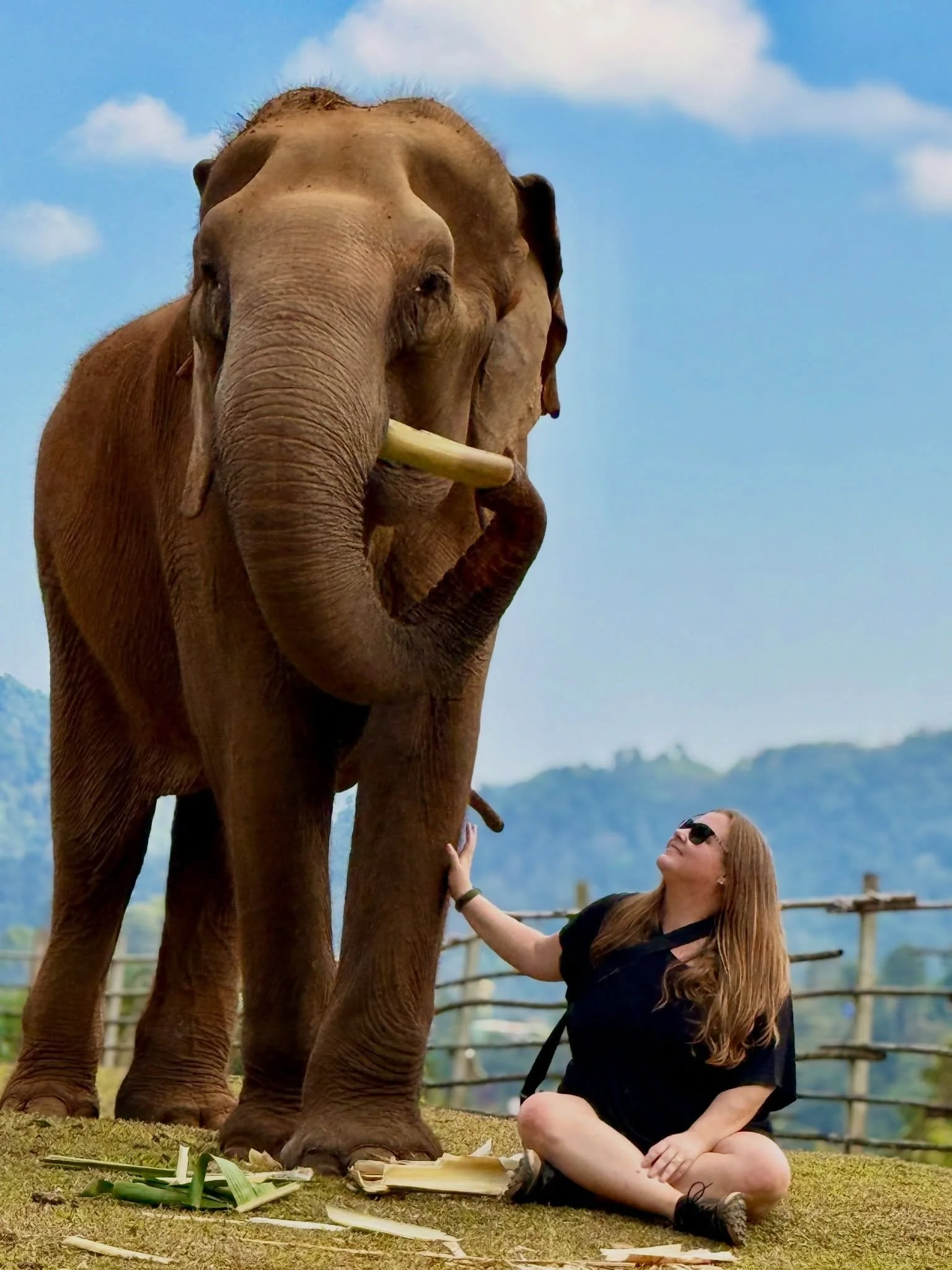 Not only was our tour guide @bancha_1133 extremely knowledgeable and showed so much love and care for the elephants, he also happened to be a photographer. This worked out really well for us when he took our phones and snapped an impromptu set of abs
