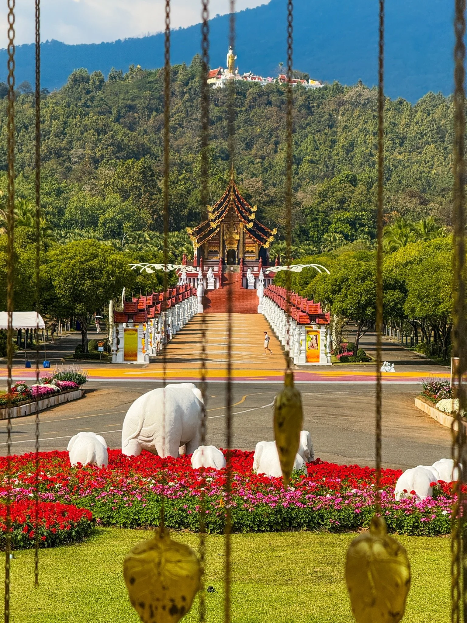 The botanical gardens inside Royal Park Rajapruek อุทยานหลวงราชพฤกษ์. Manicured grounds, beautiful flowers and a winding path to ride bikes through it all. This place was almost empty and we spent longer than expected here taking it all in. 

#thevir