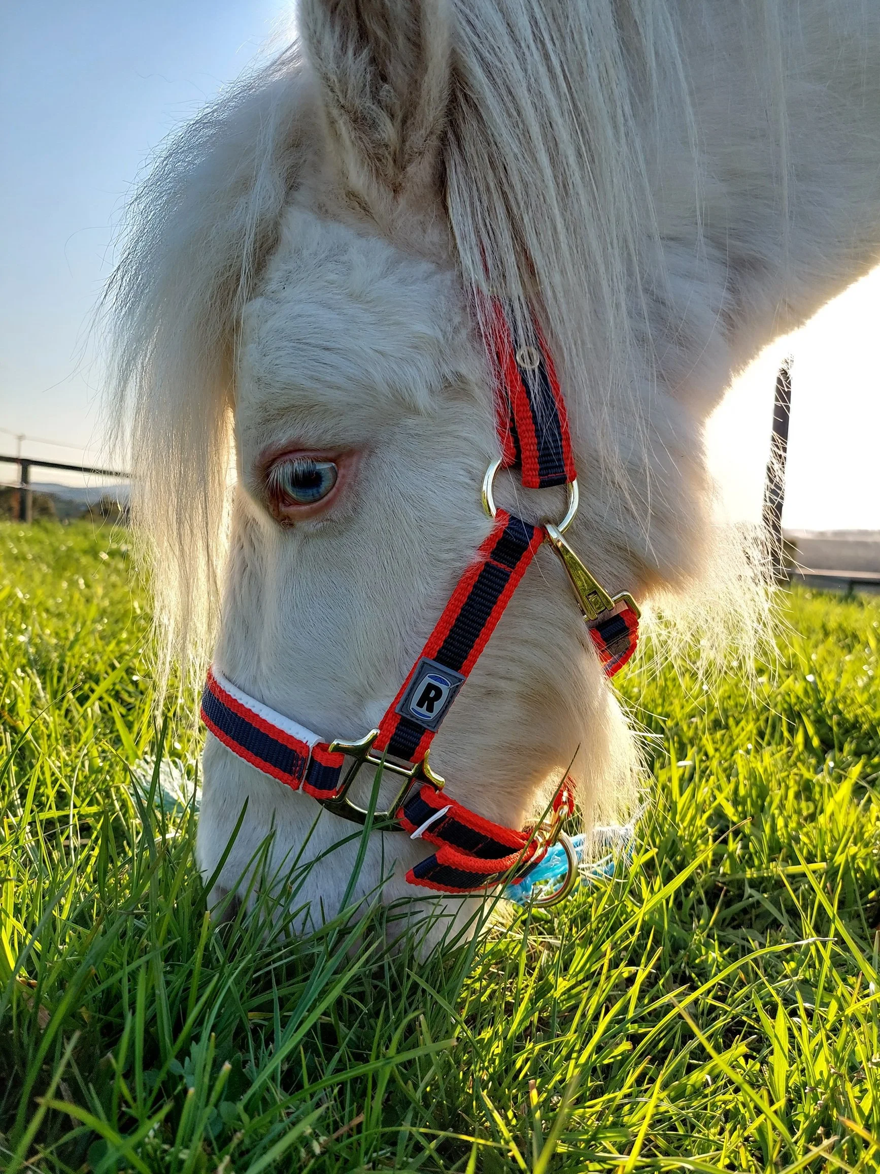 Lucius 29.09.23-2.jpg