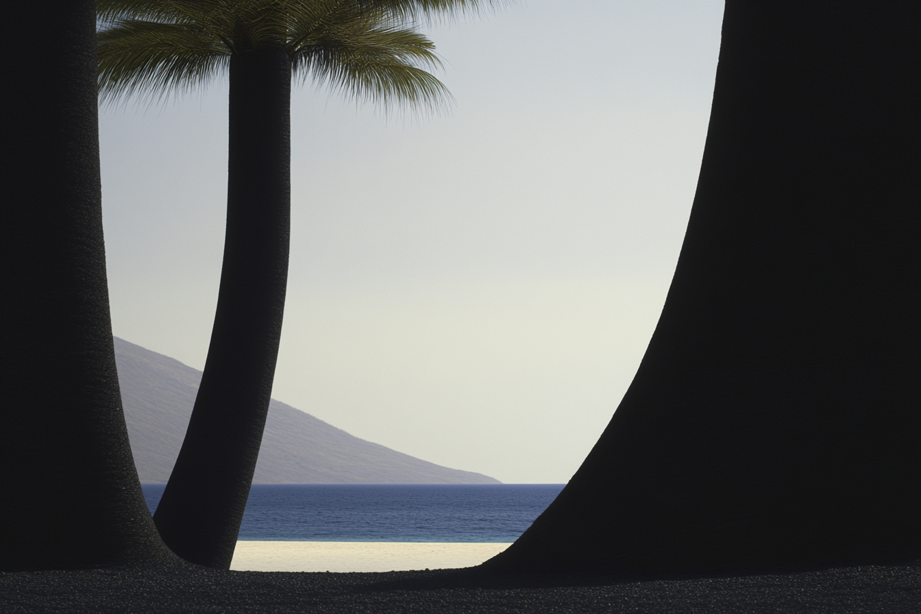 casual_designer_palm_trees_beach_--ar_32_--profile_3rlfeq7_--_db9a7351-145b-43b4-9a92-f6409e77a02e_2.png