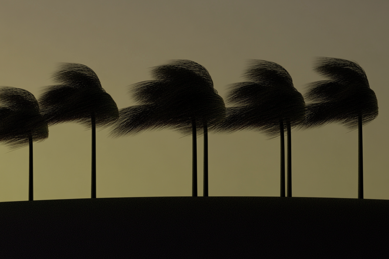 casual_designer_palm_trees_beach_--ar_32_--profile_3rlfeq7_--_943e9614-6d3c-451e-858c-014deee391a4_3.png