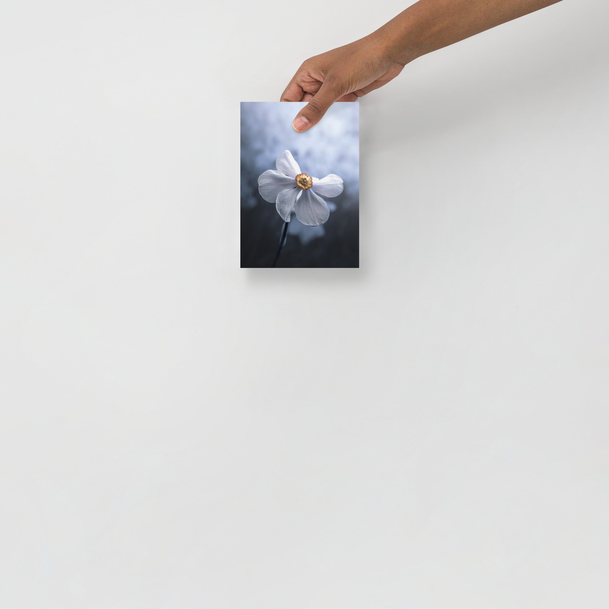 enhanced-matte-paper-poster-(in)-5x7-front-6633e91850886.jpg