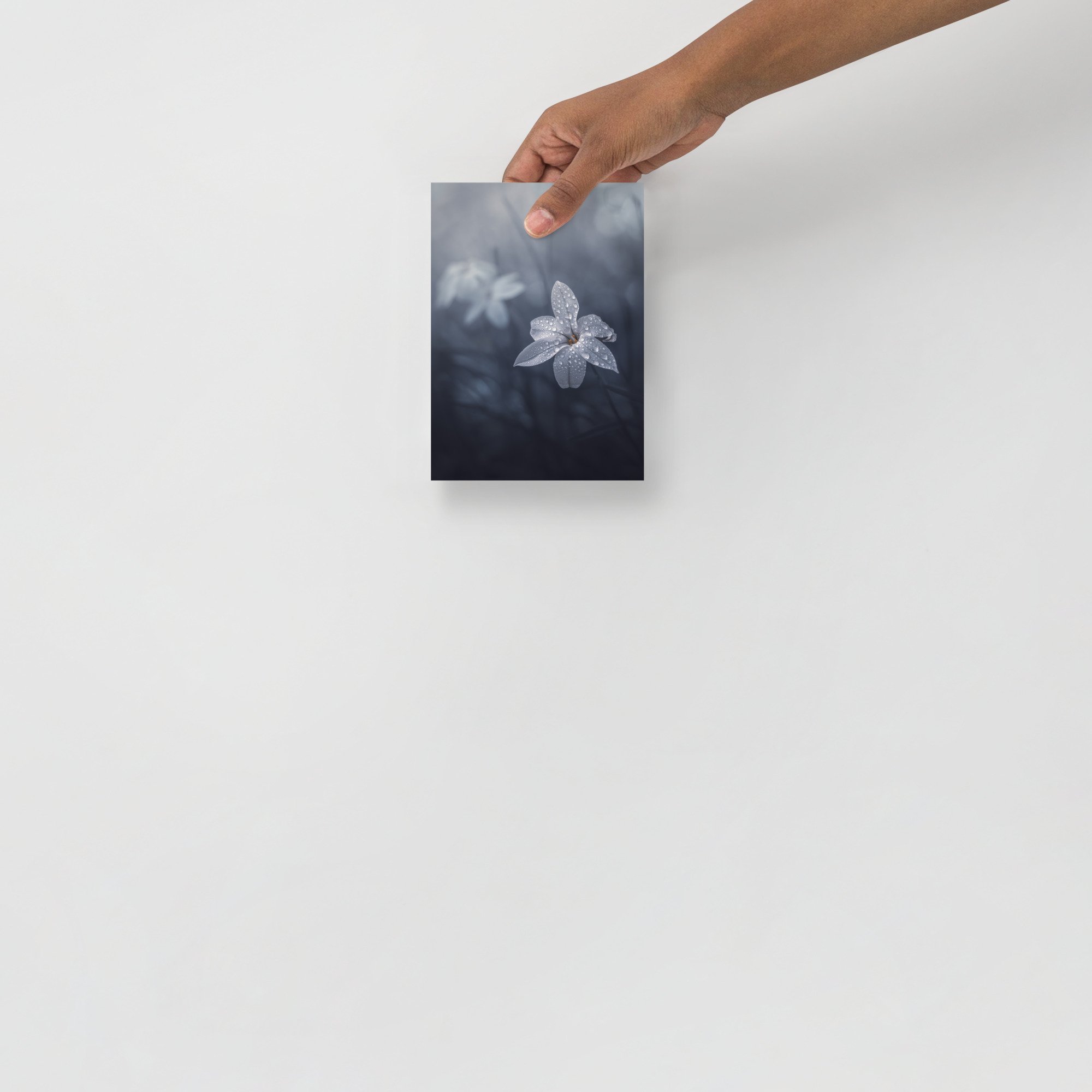 enhanced-matte-paper-poster-(in)-5x7-front-6633ea542a3a1.jpg