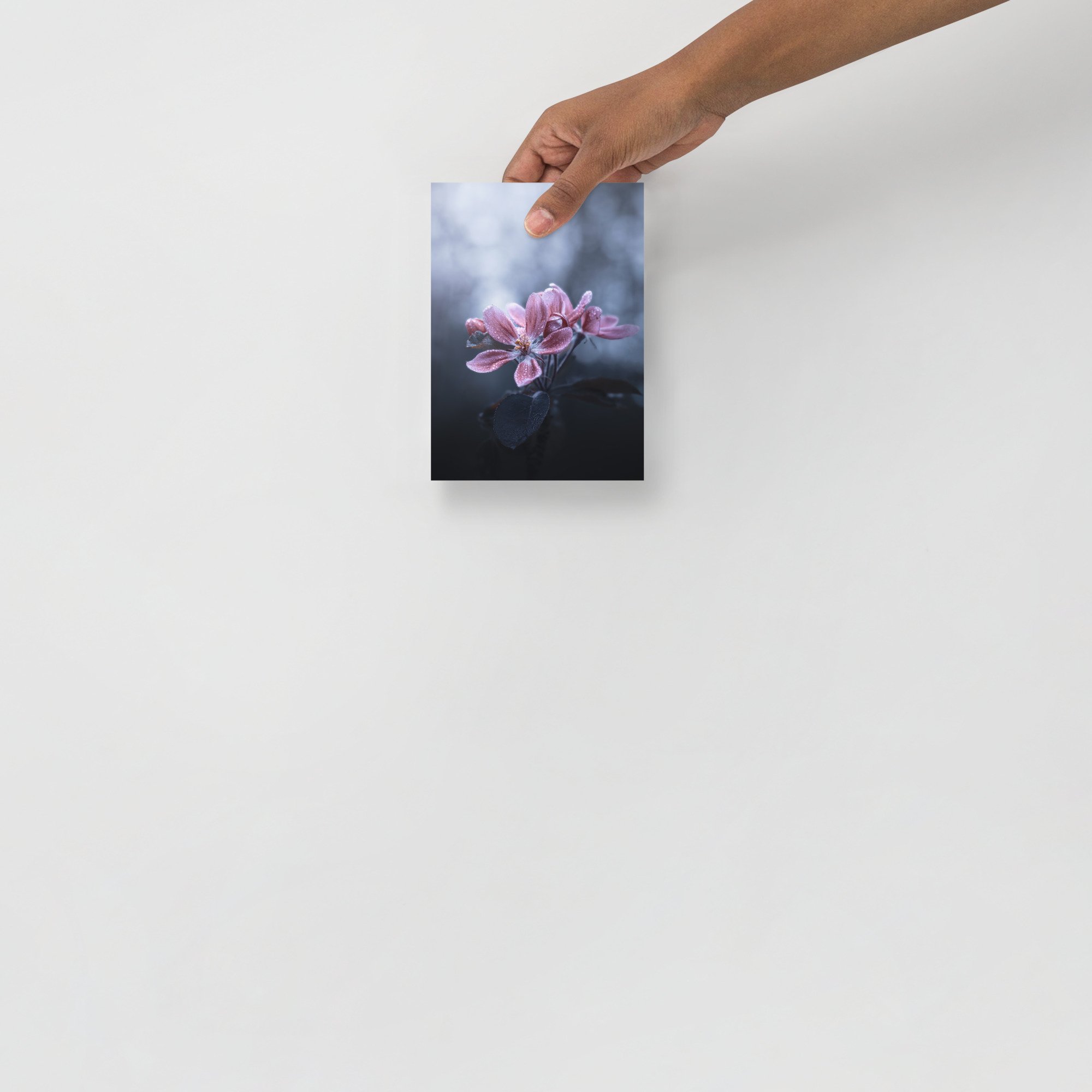 enhanced-matte-paper-poster-(in)-5x7-front-6633ef0b21c51.jpg