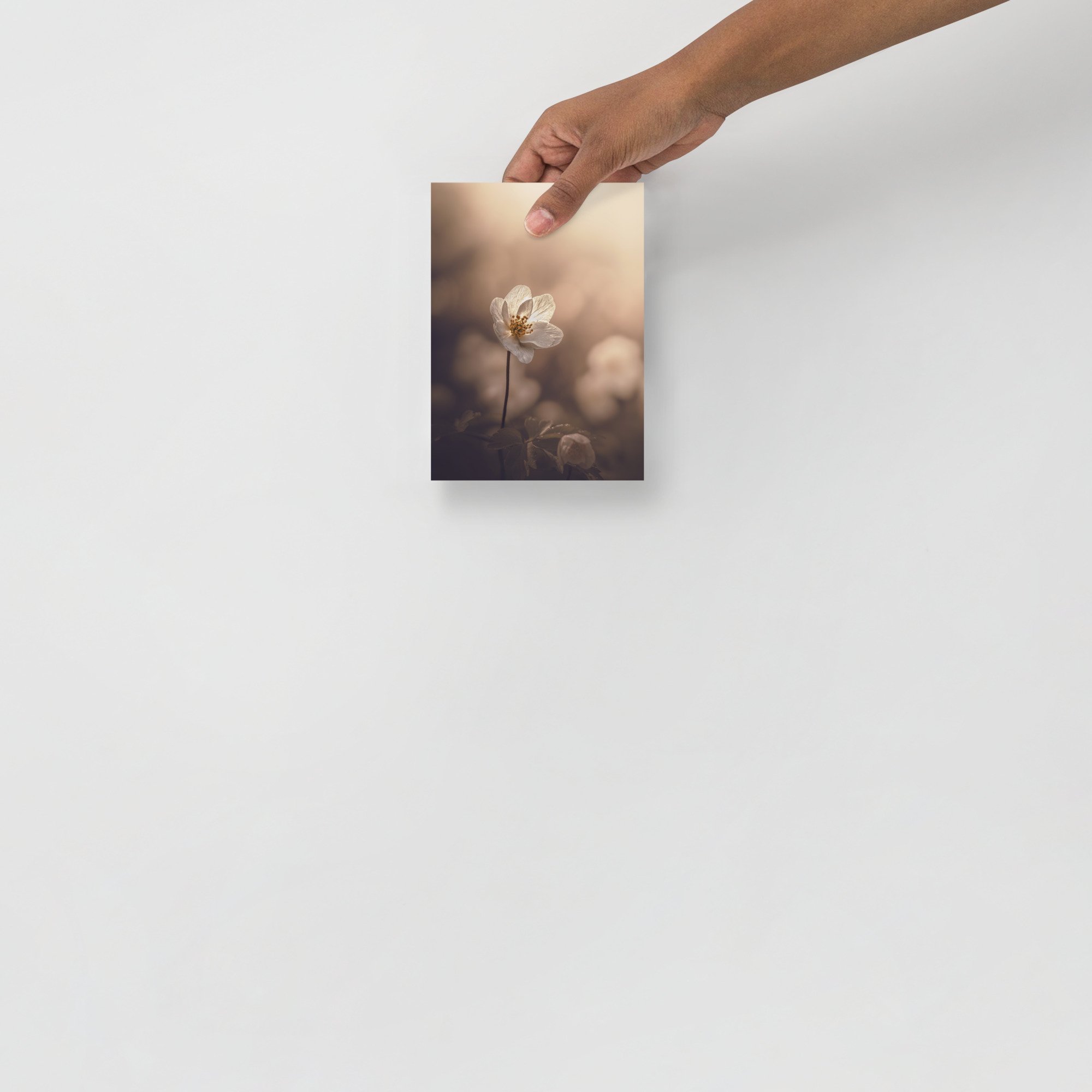 enhanced-matte-paper-poster-(in)-5x7-front-6633f5de8ec61.jpg
