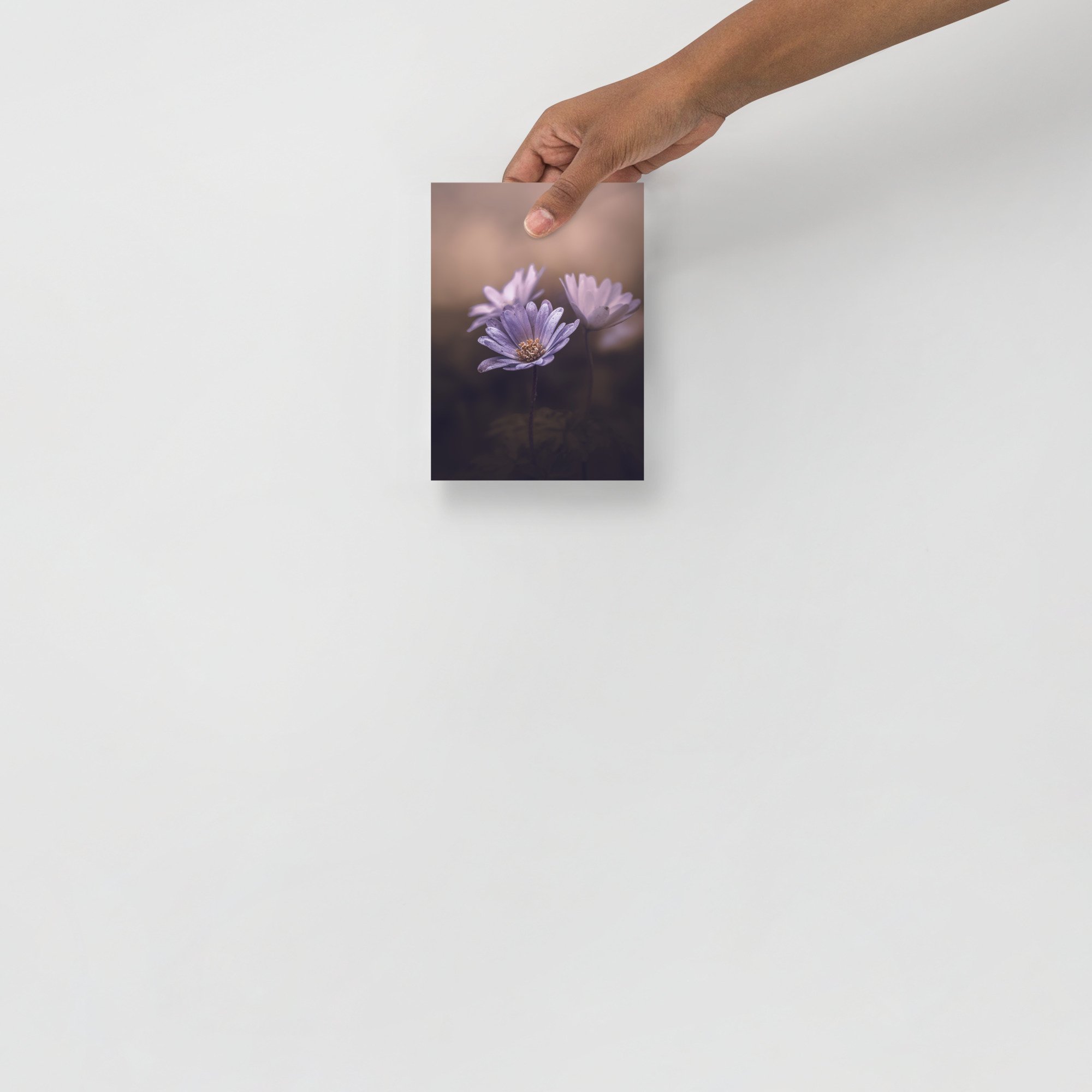 enhanced-matte-paper-poster-(in)-5x7-front-6633fa4bc4843.jpg